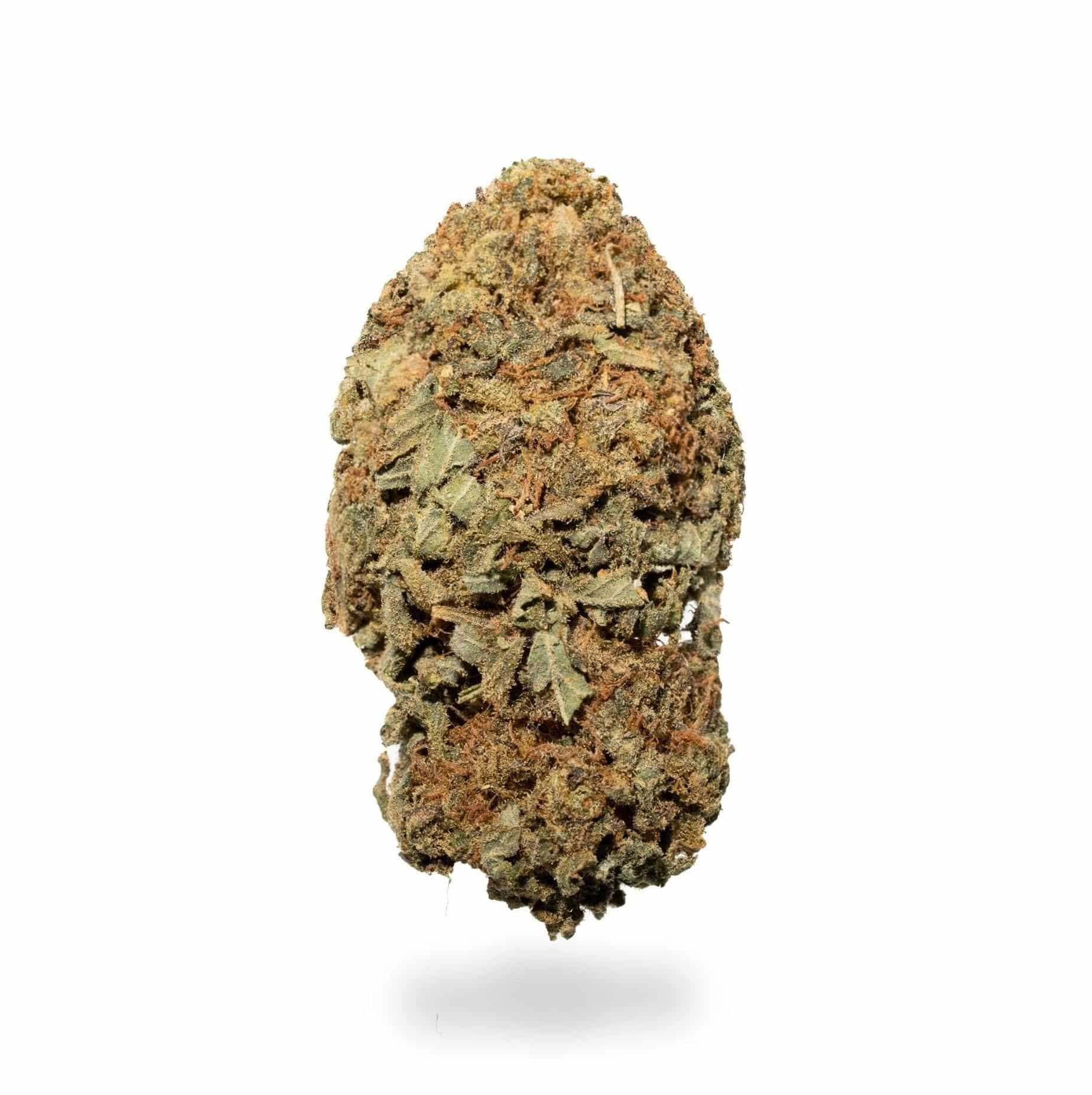 Purple OG (AA-)