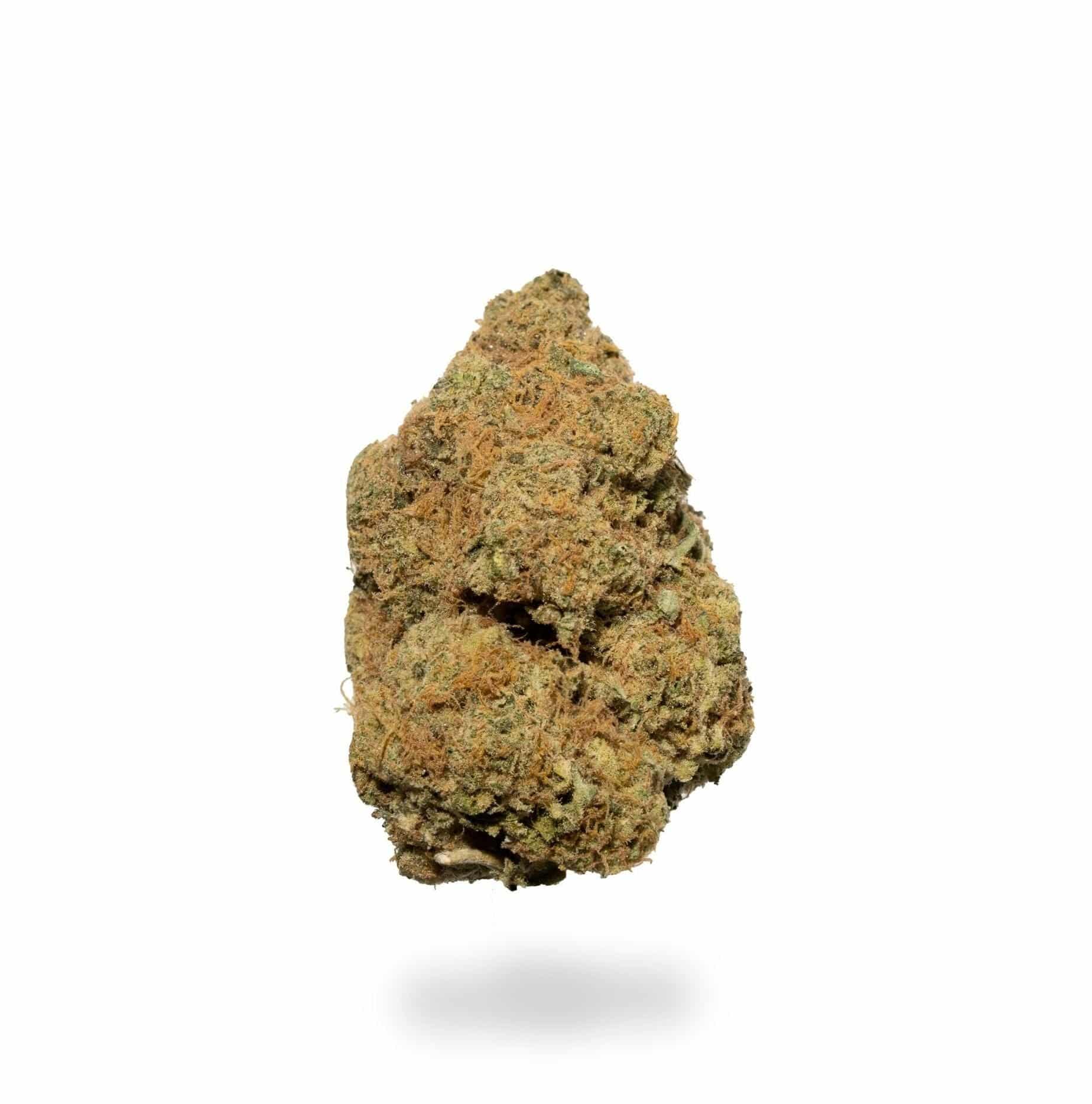 Hi-Biscus (AAA+)