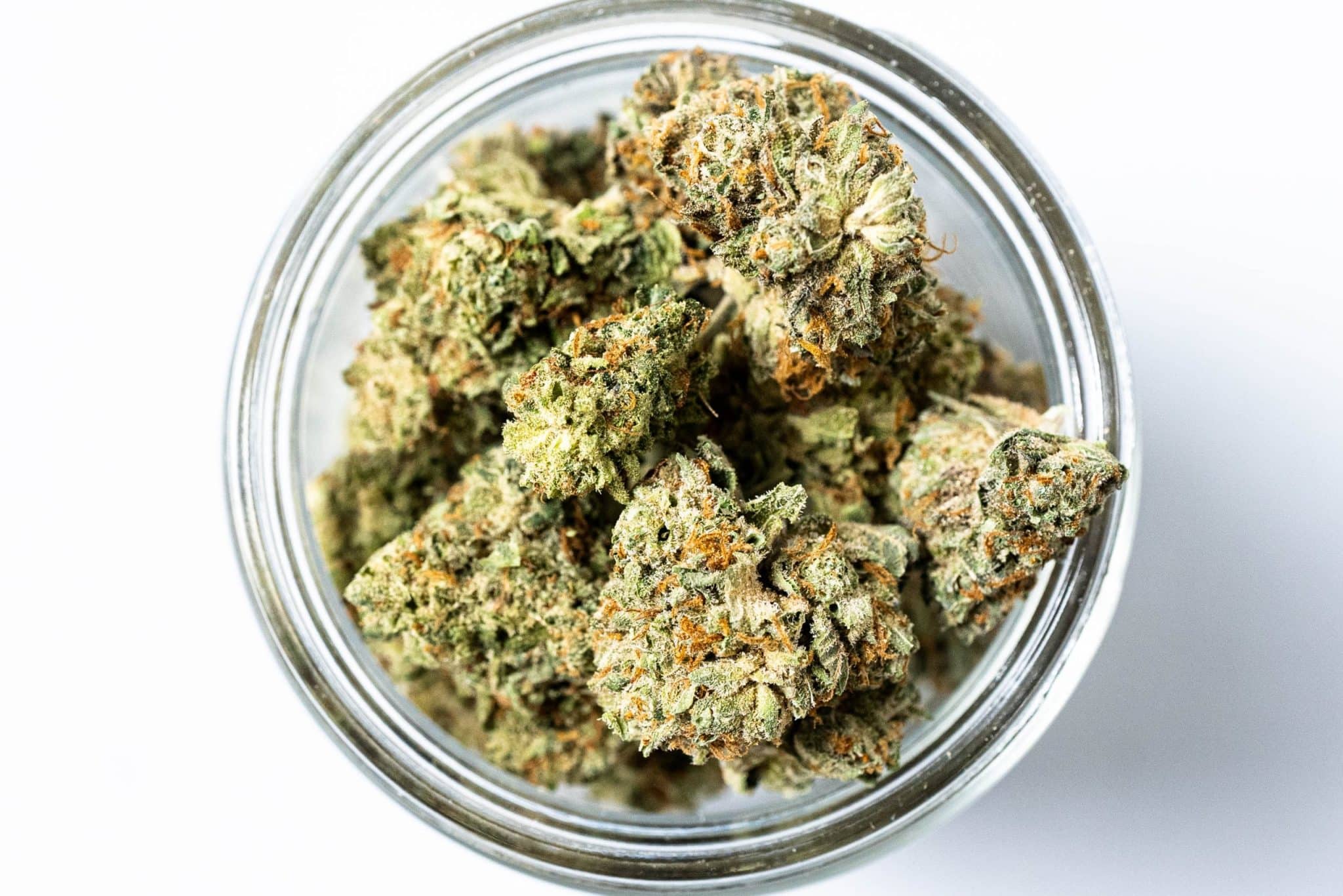 Blueberry Kush (AAA-) 2