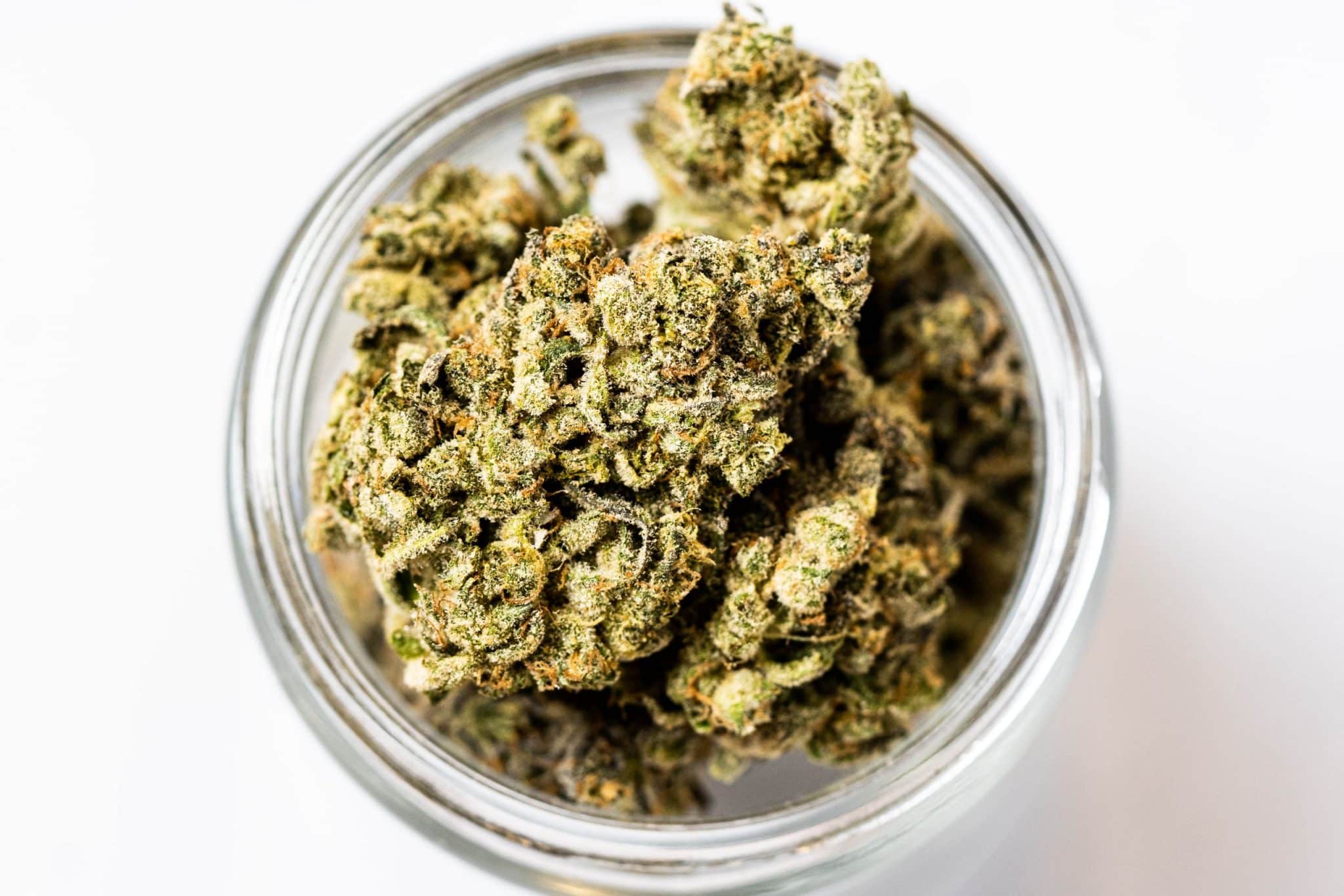 Mint Chocolate Chip *GAS* (AAAAA+) 2