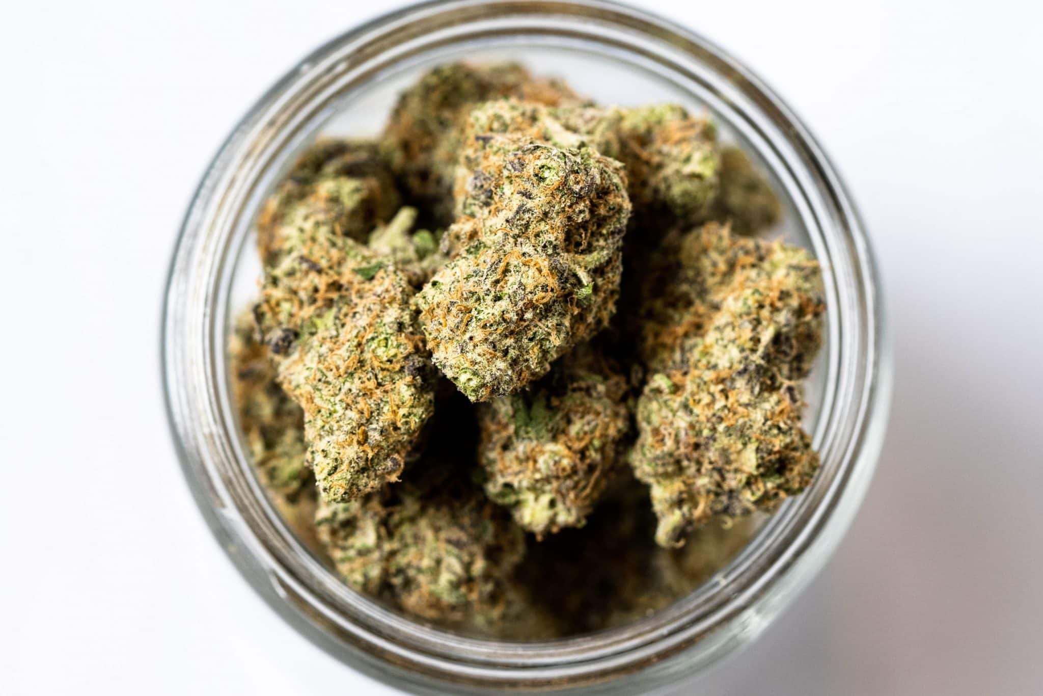 Florida OG (AAAA) 2