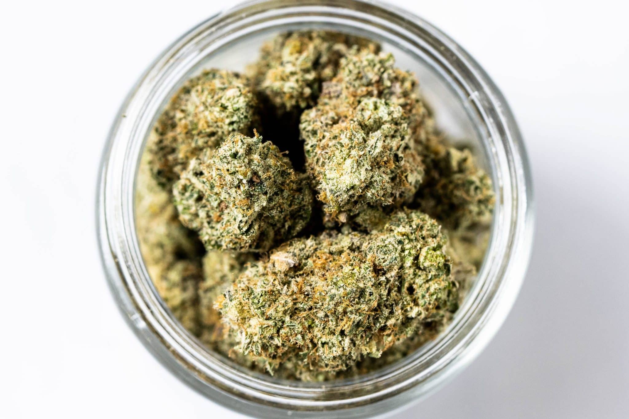 Animal Cookies *GAS* (AAAAA) 2