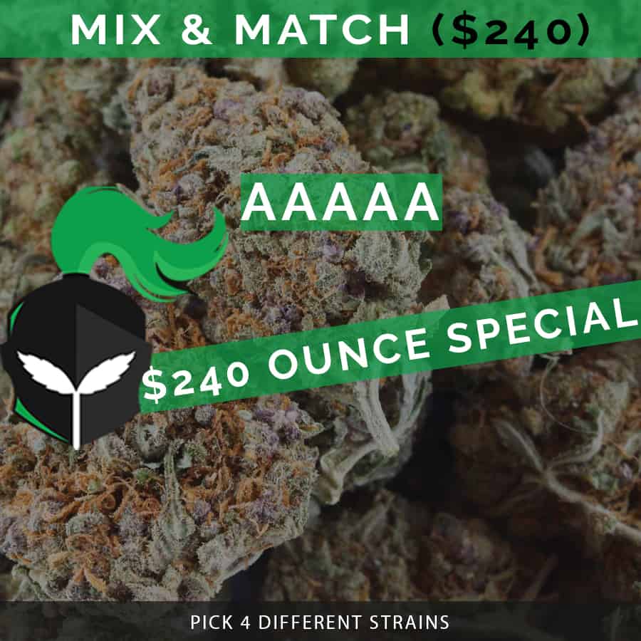 Mix & Match Bundle 8