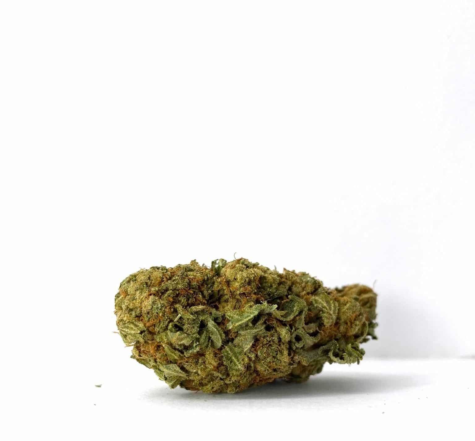Angel OG (AA)