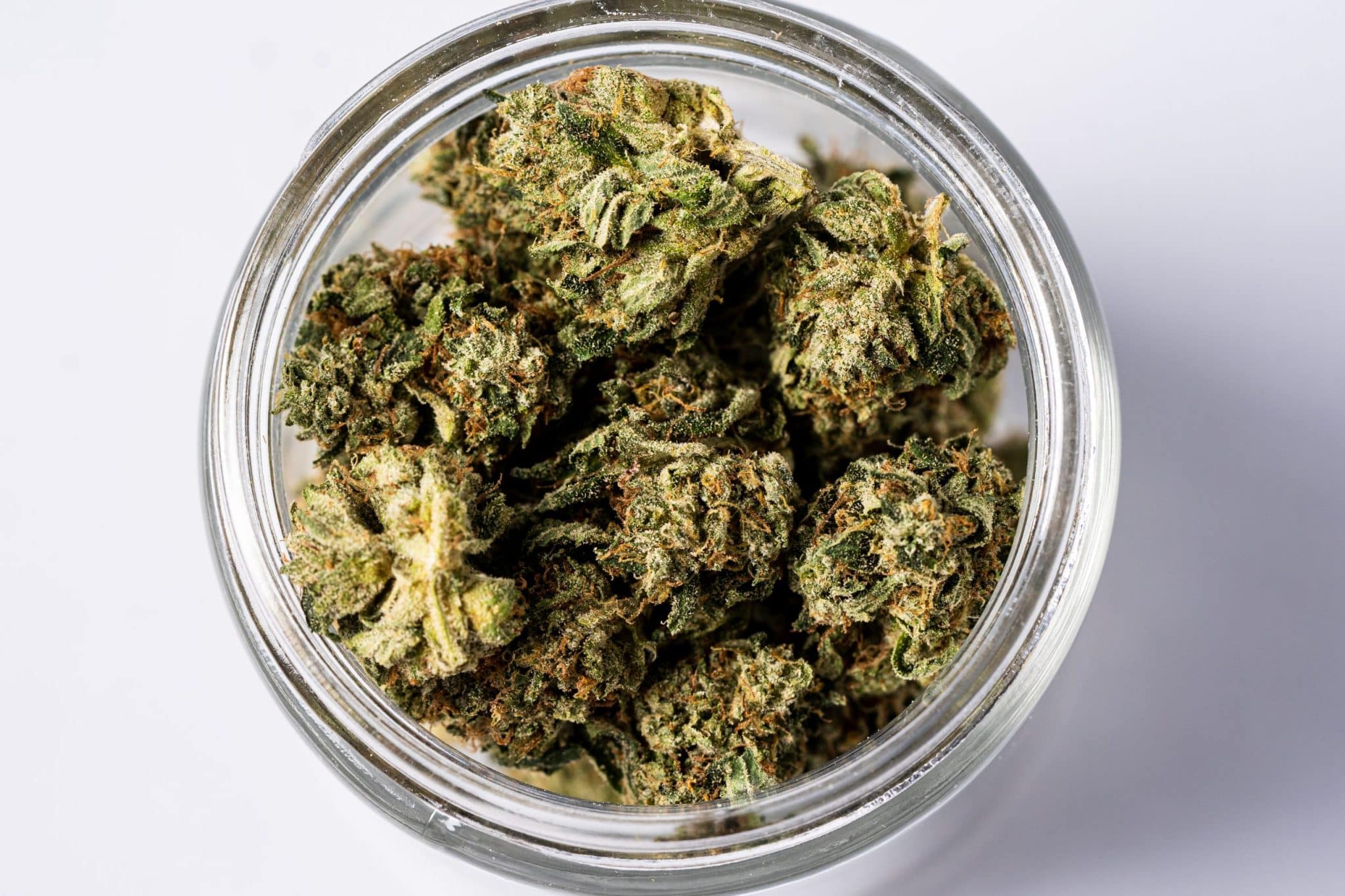 Violator Kush (AAAA-) 2