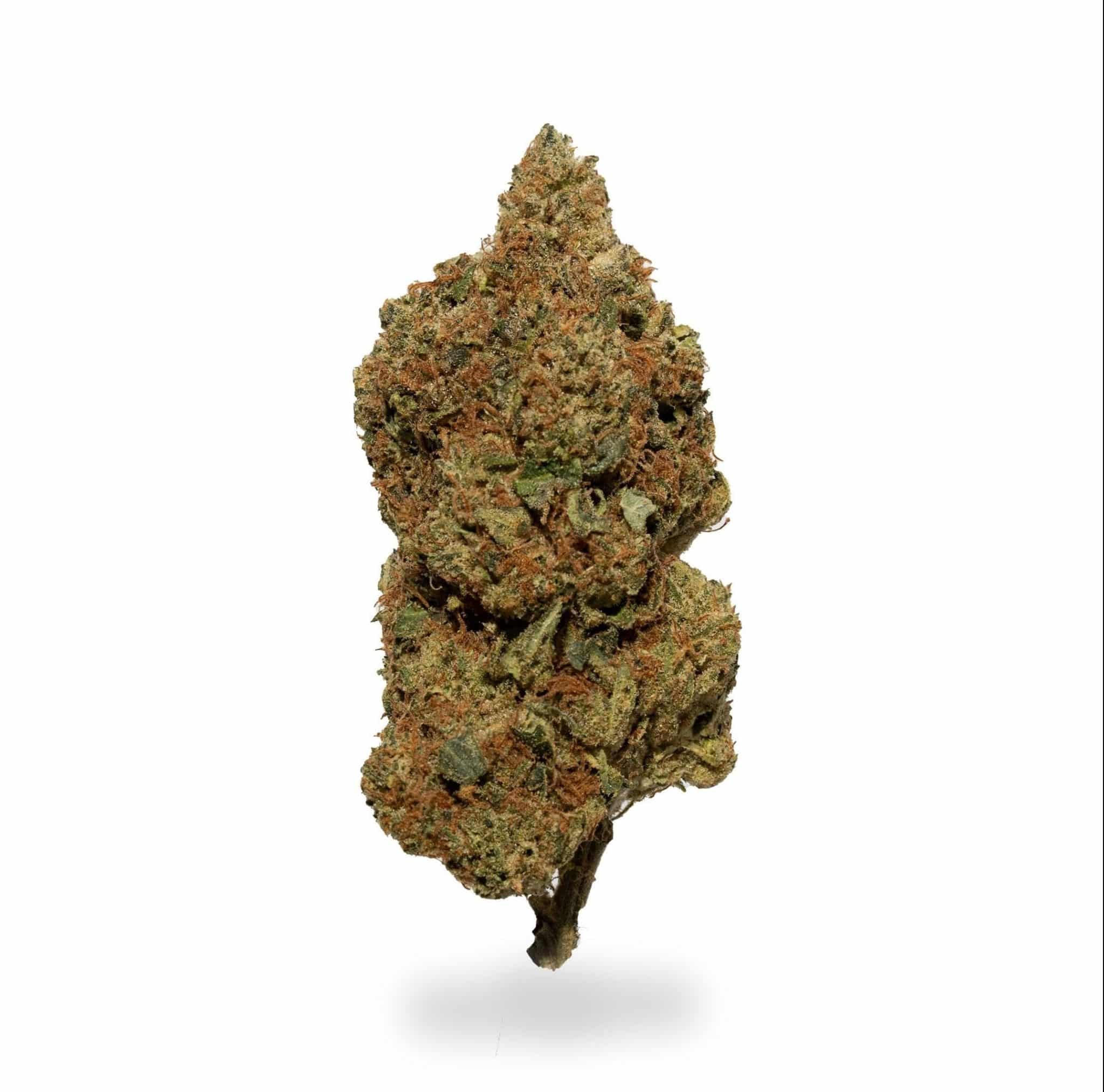Sun King OG (AAA)