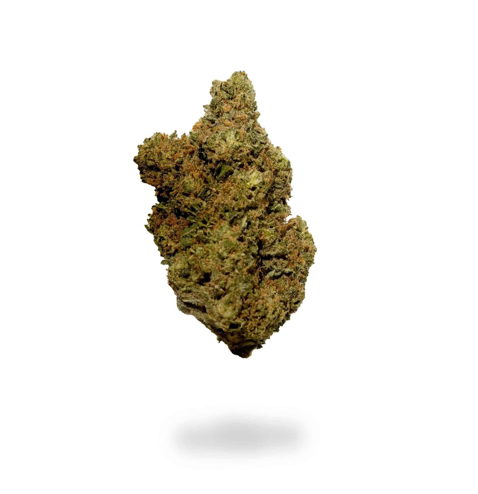 Gorilla Wreck (AAA-)