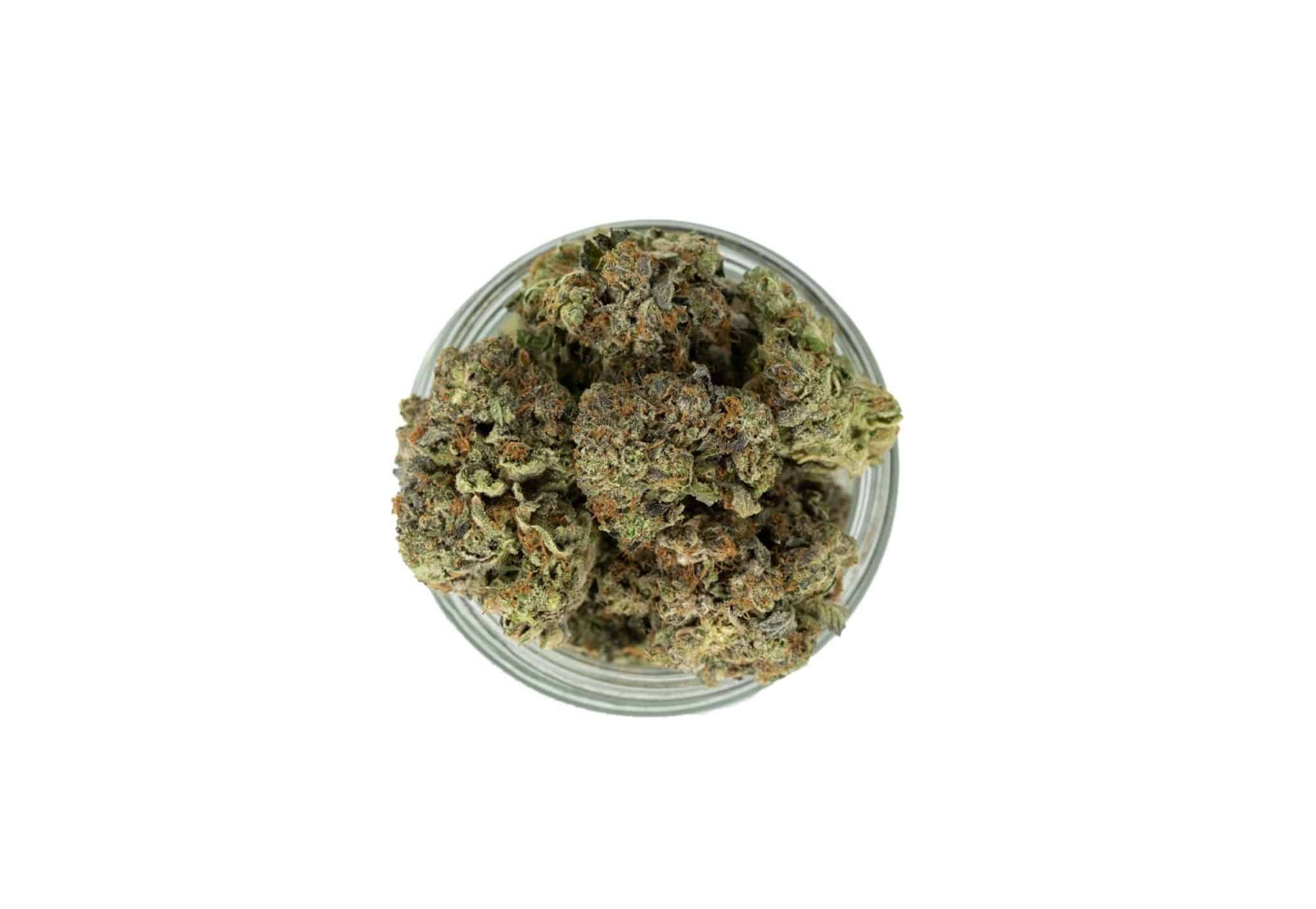 *Sale* Royal Haze (AAAA-) 2