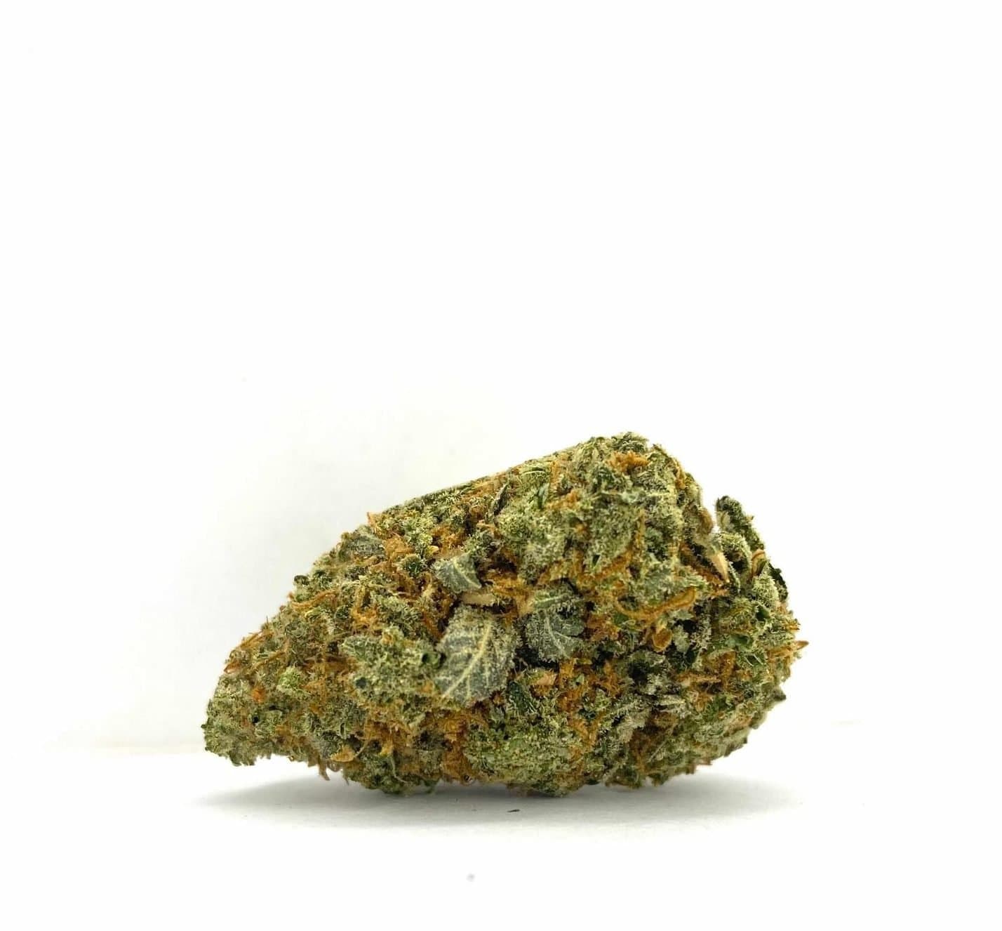 Dr. Who (AAA+)