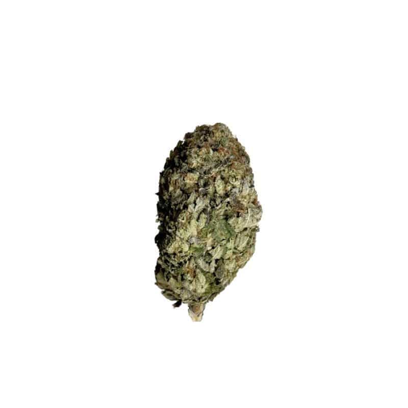 G-13 (AAA)