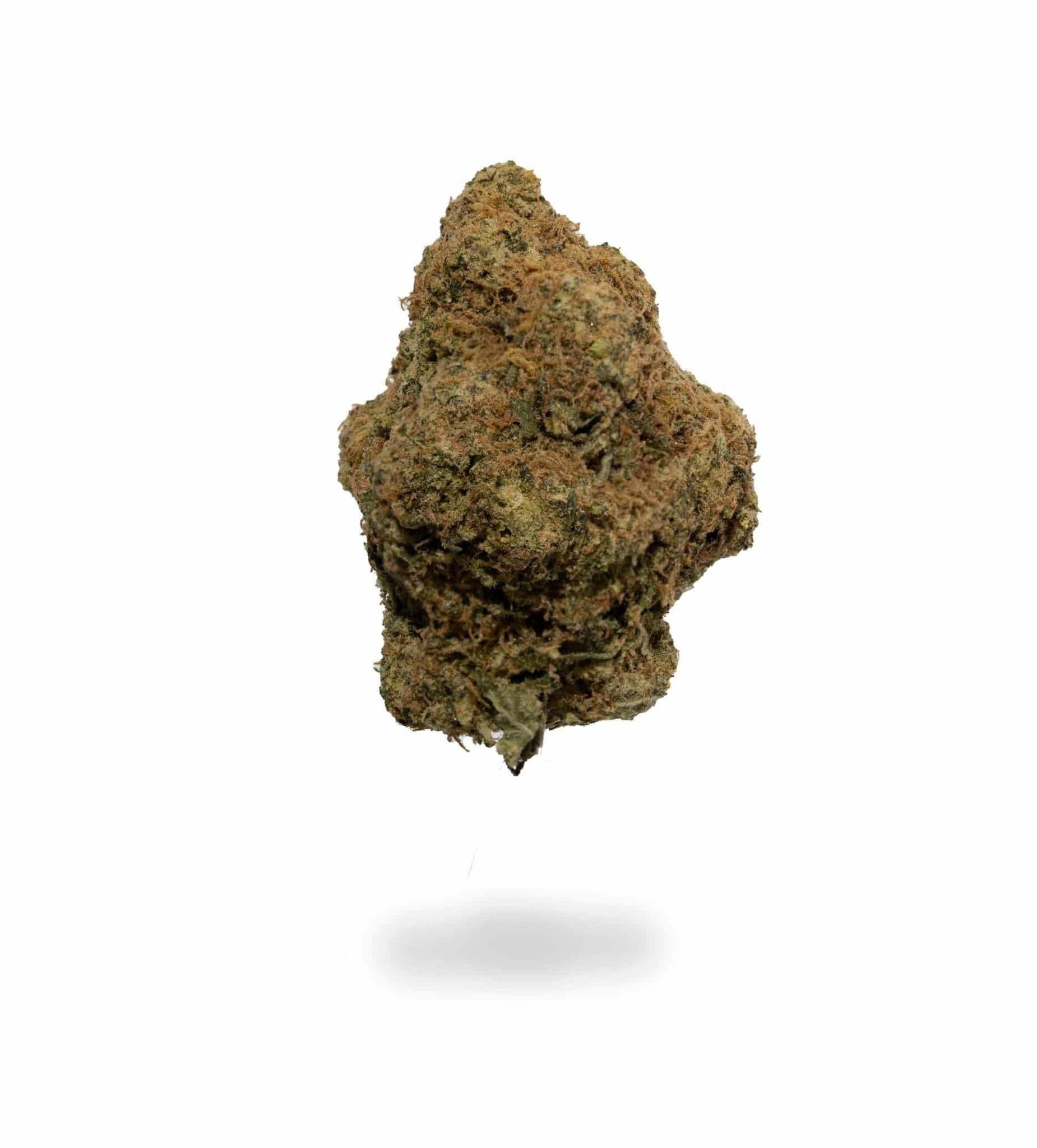 Blue Venom (AAA+)