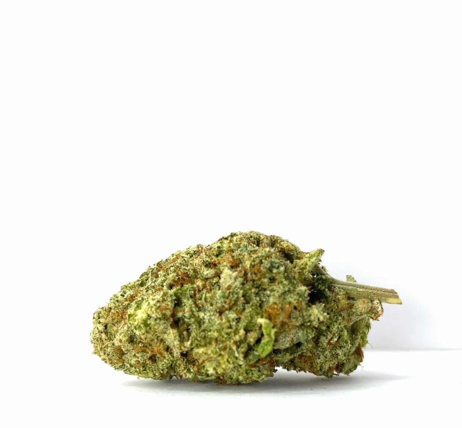 Jungle Scout Cookies (AAAA-)