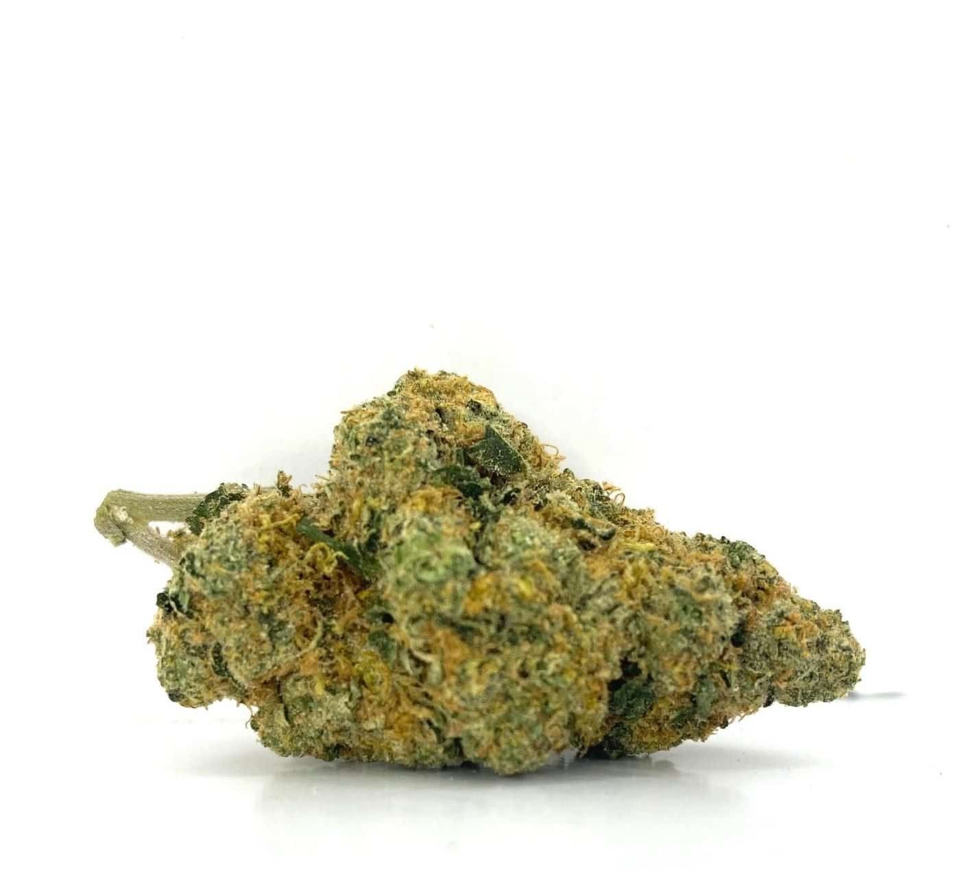 Tropical Punch (AAA)