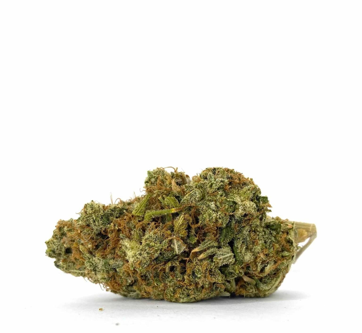 Apple Custard (AAA-)