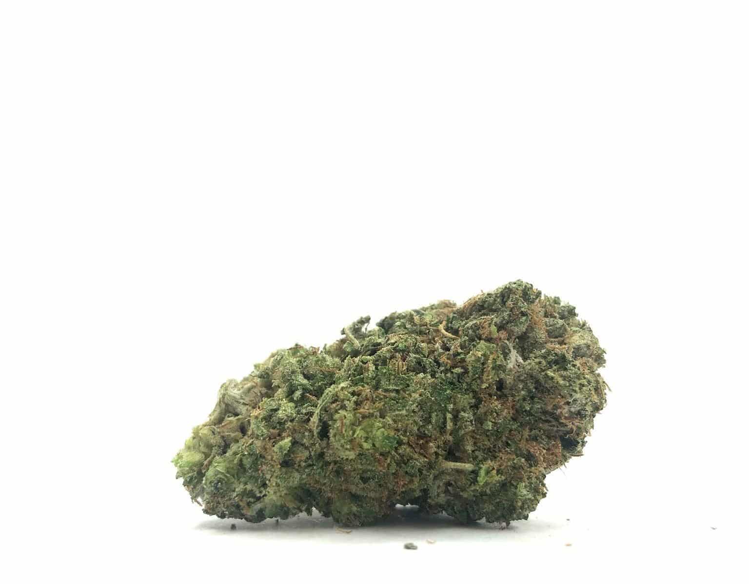 Island Pink *GAS* (AAAAA)