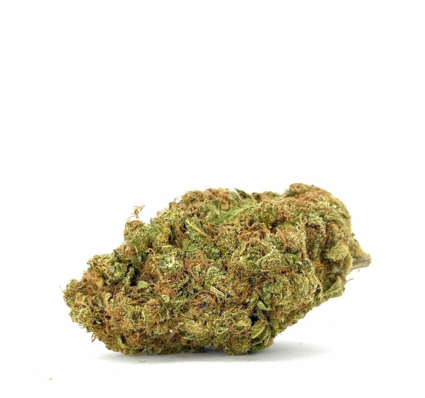 Queen Sweet Pea (AA)