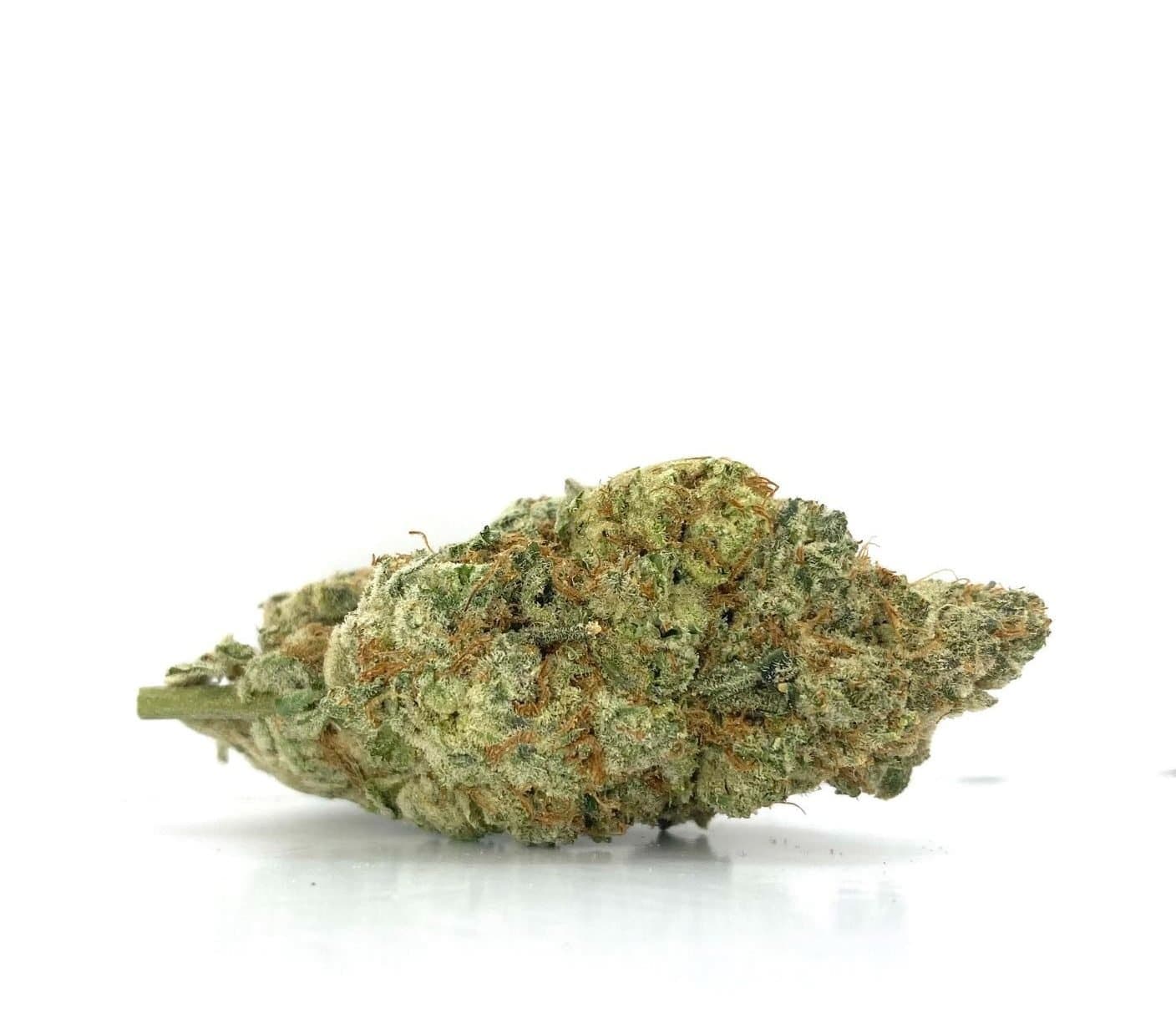 Mother of Berries (AAA)