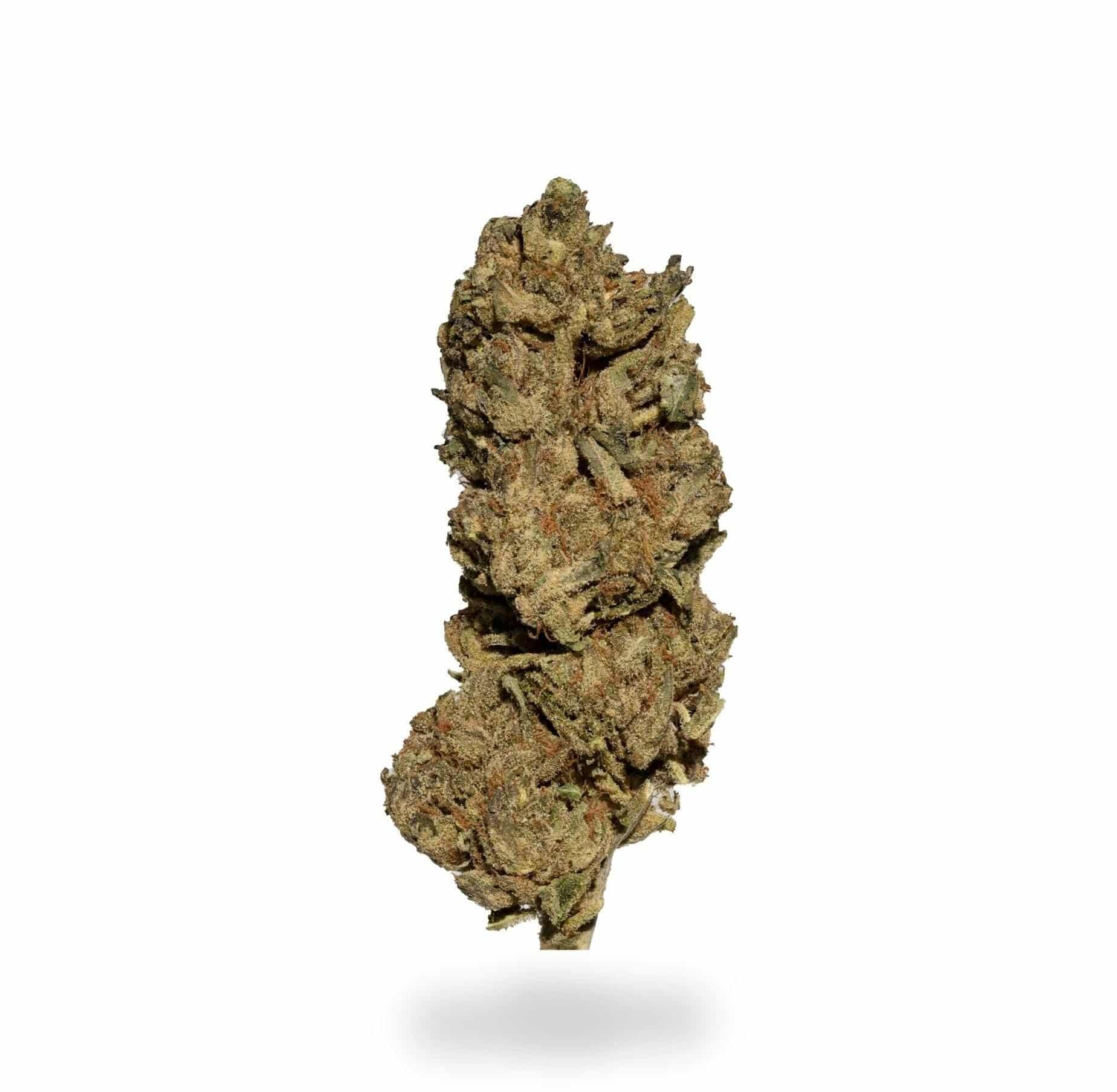 Purple Pinecone (AAA)