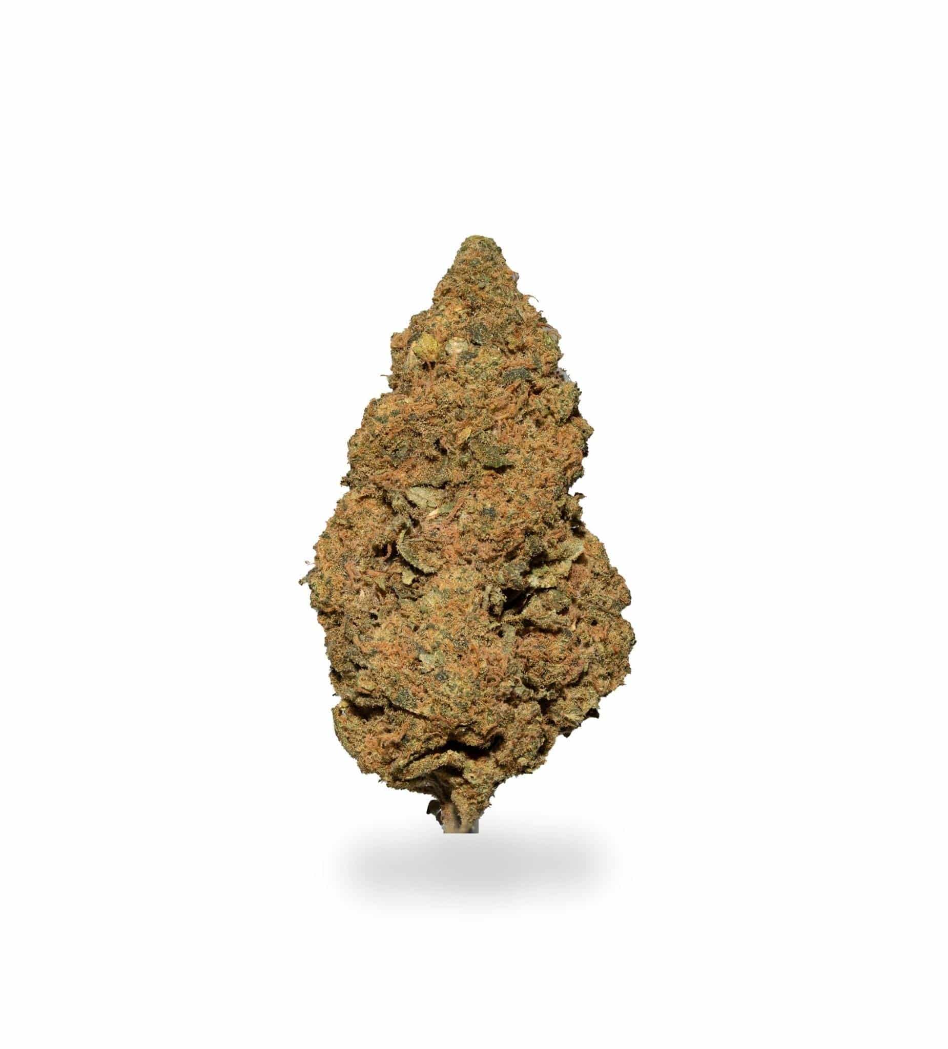 Critical Kush (AAA+)