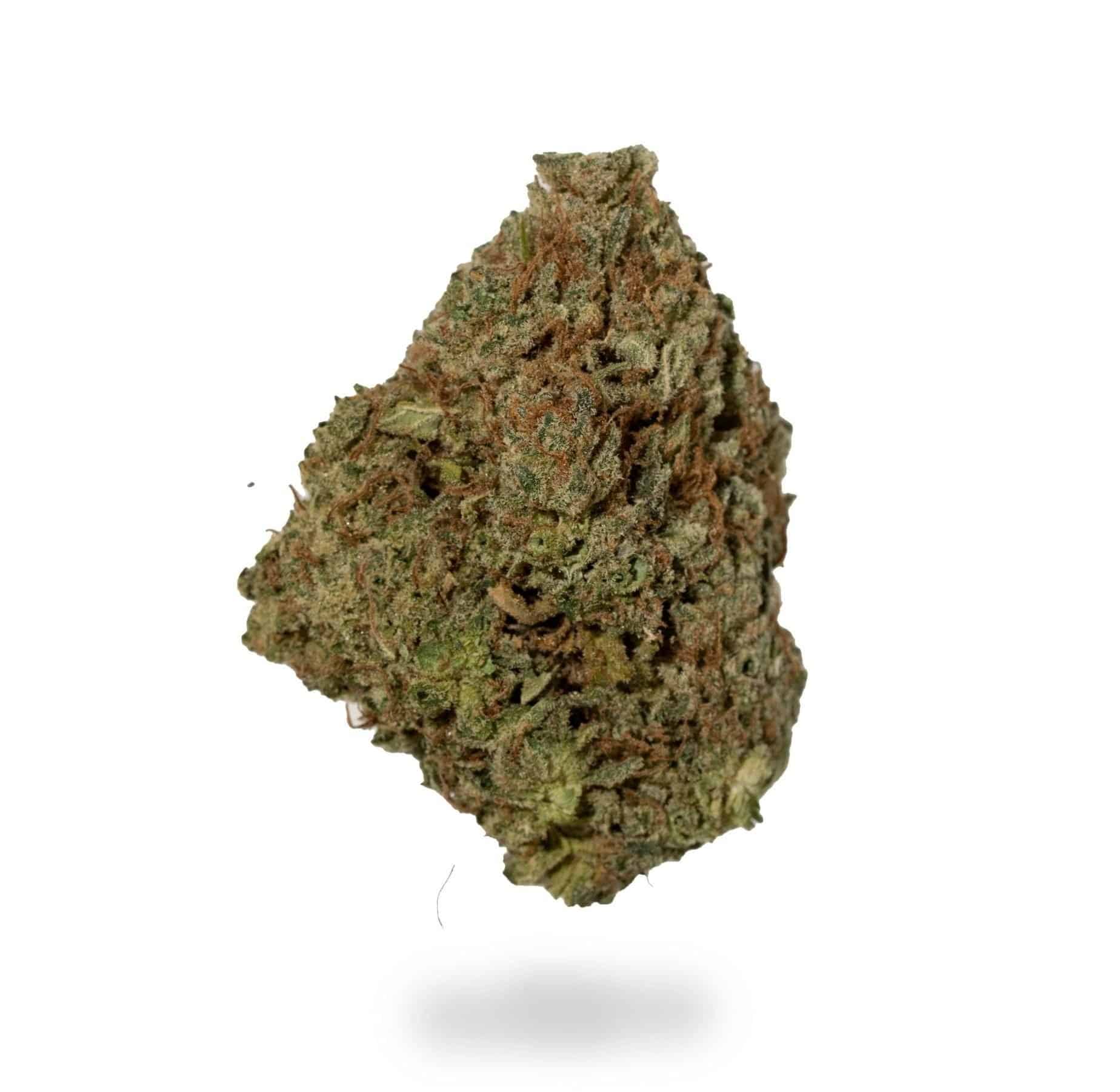 Alien Nightmare (AA)