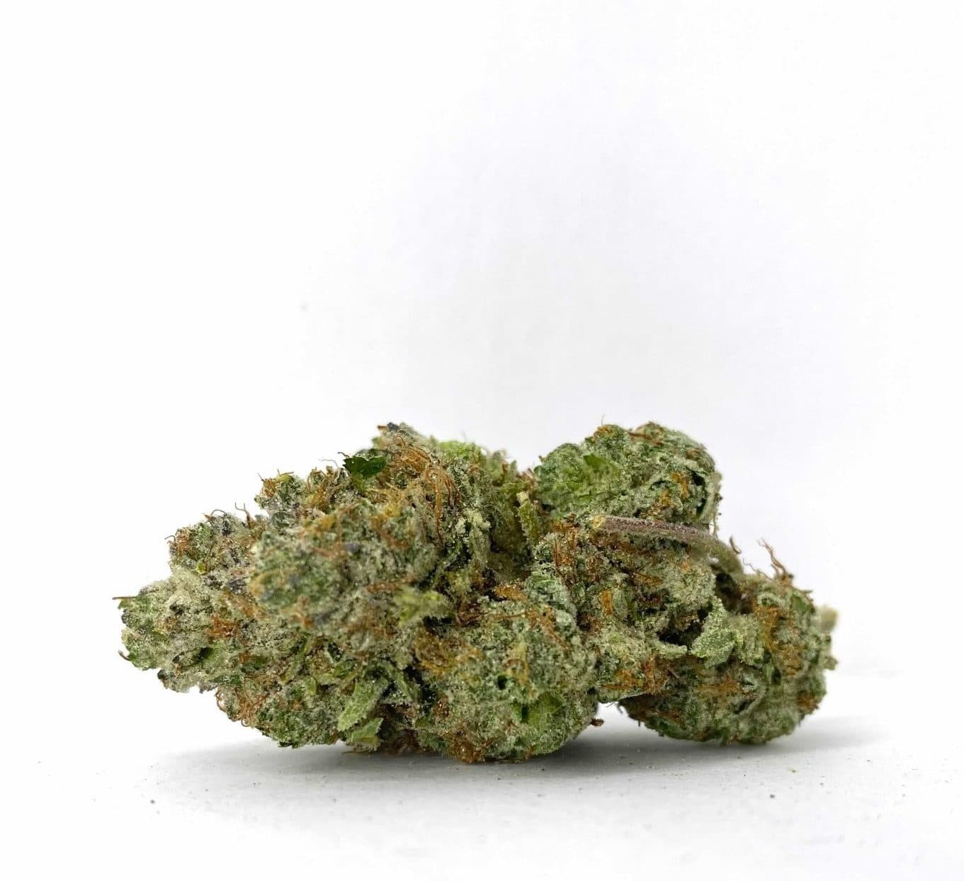 Night Terror OG (AAAA-)