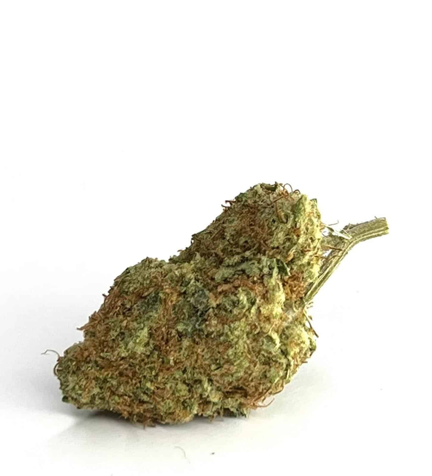 Wonder Woman OG (AA-)
