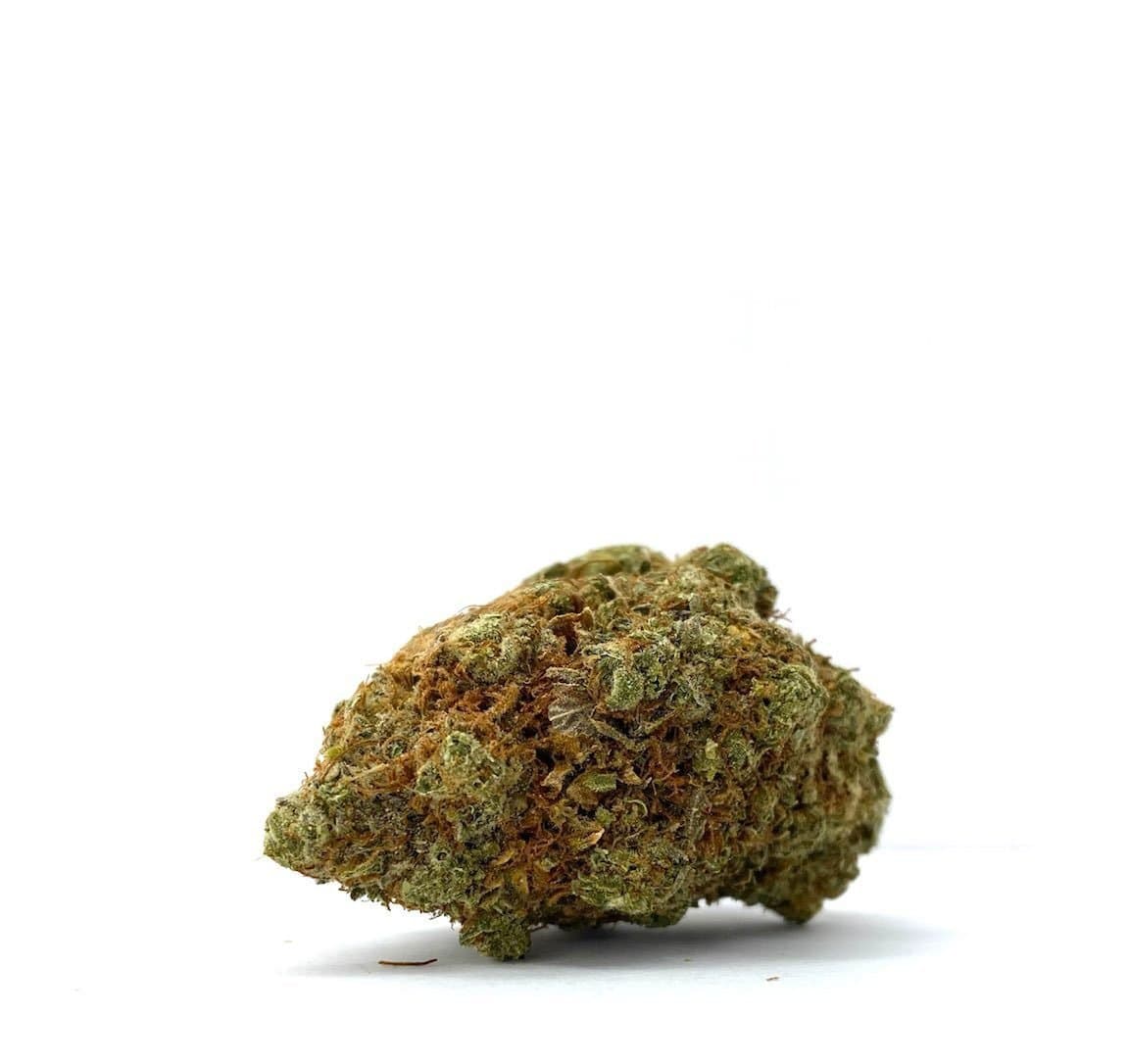 Zookies (AAA+)