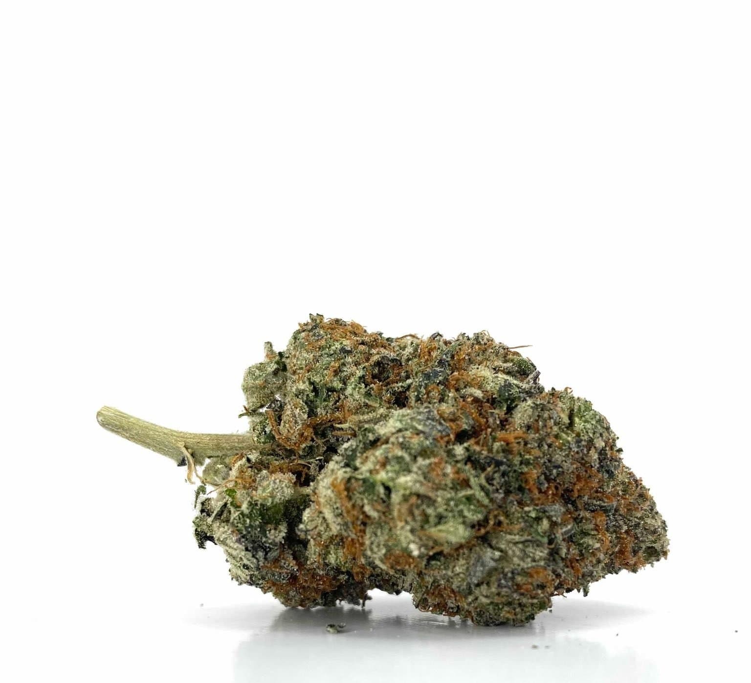 Stardawg 91 (AAA+)