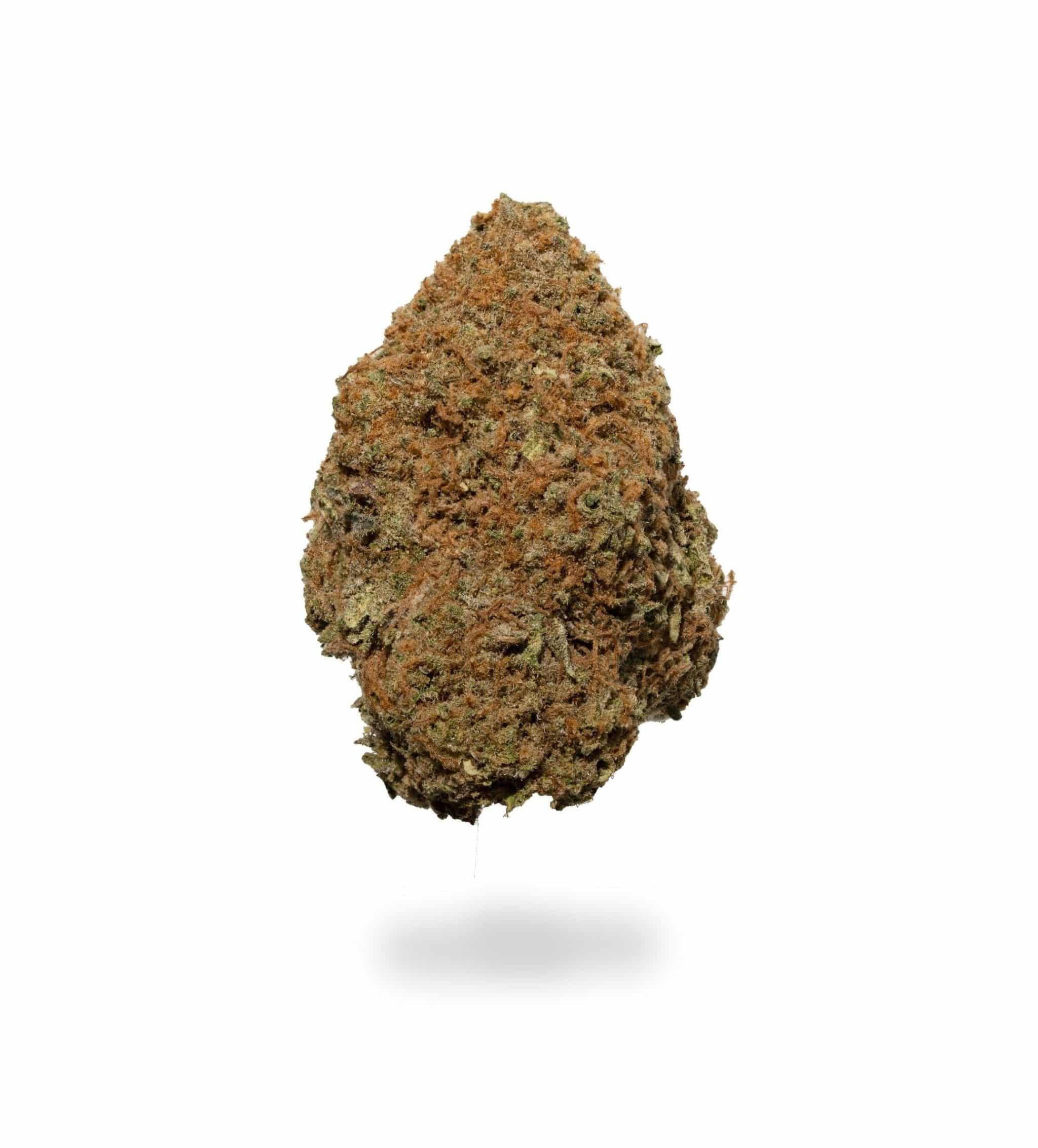 BC Kush (AA)