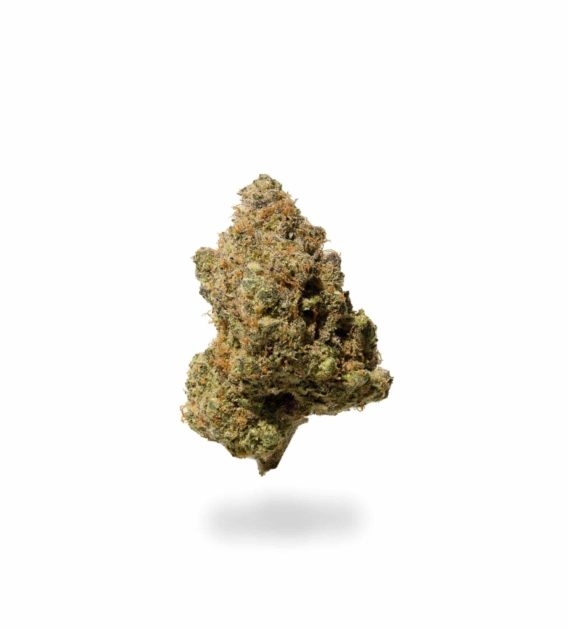 Primus OG (AAAA)