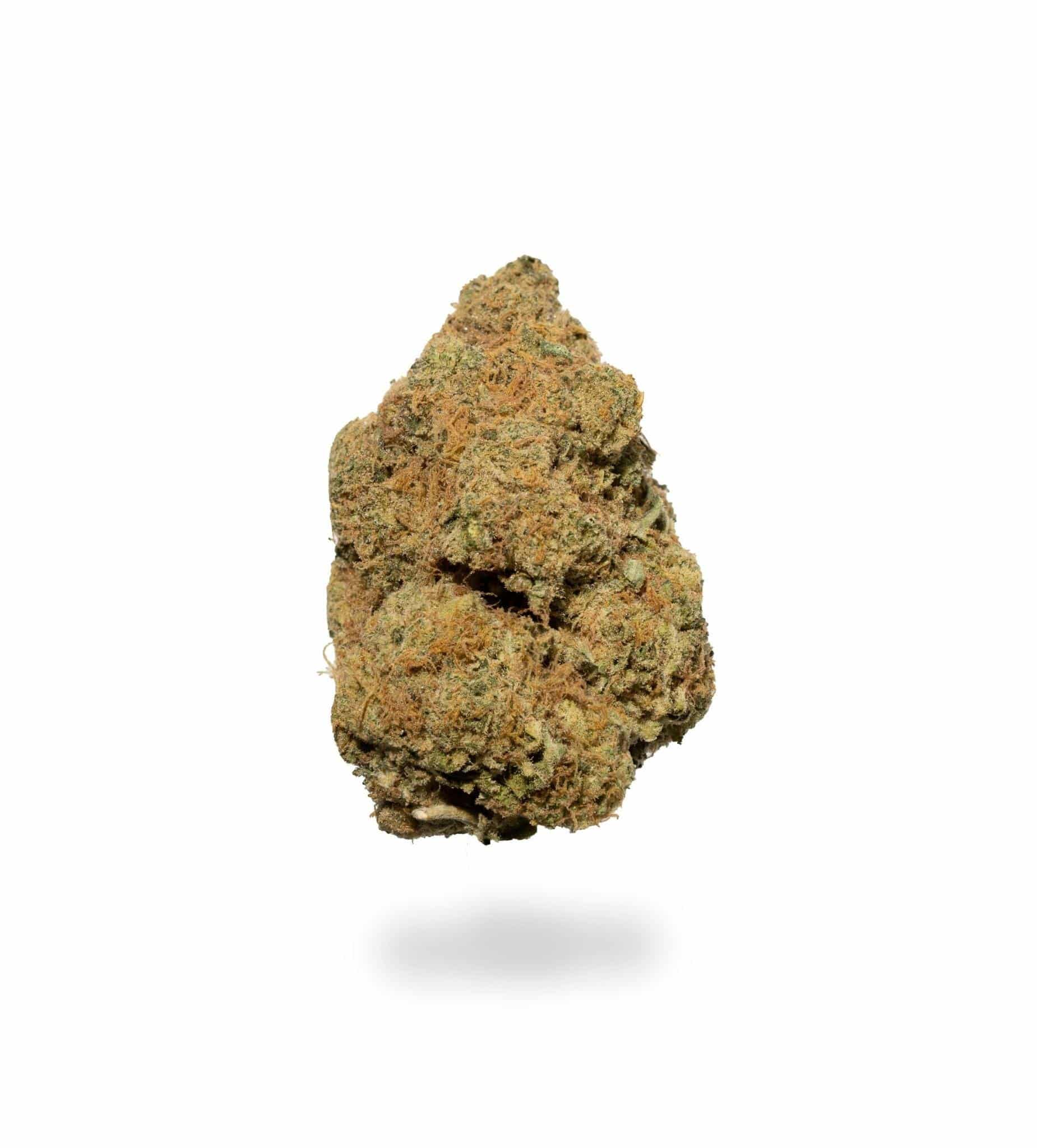 Cheese Quake (AA)