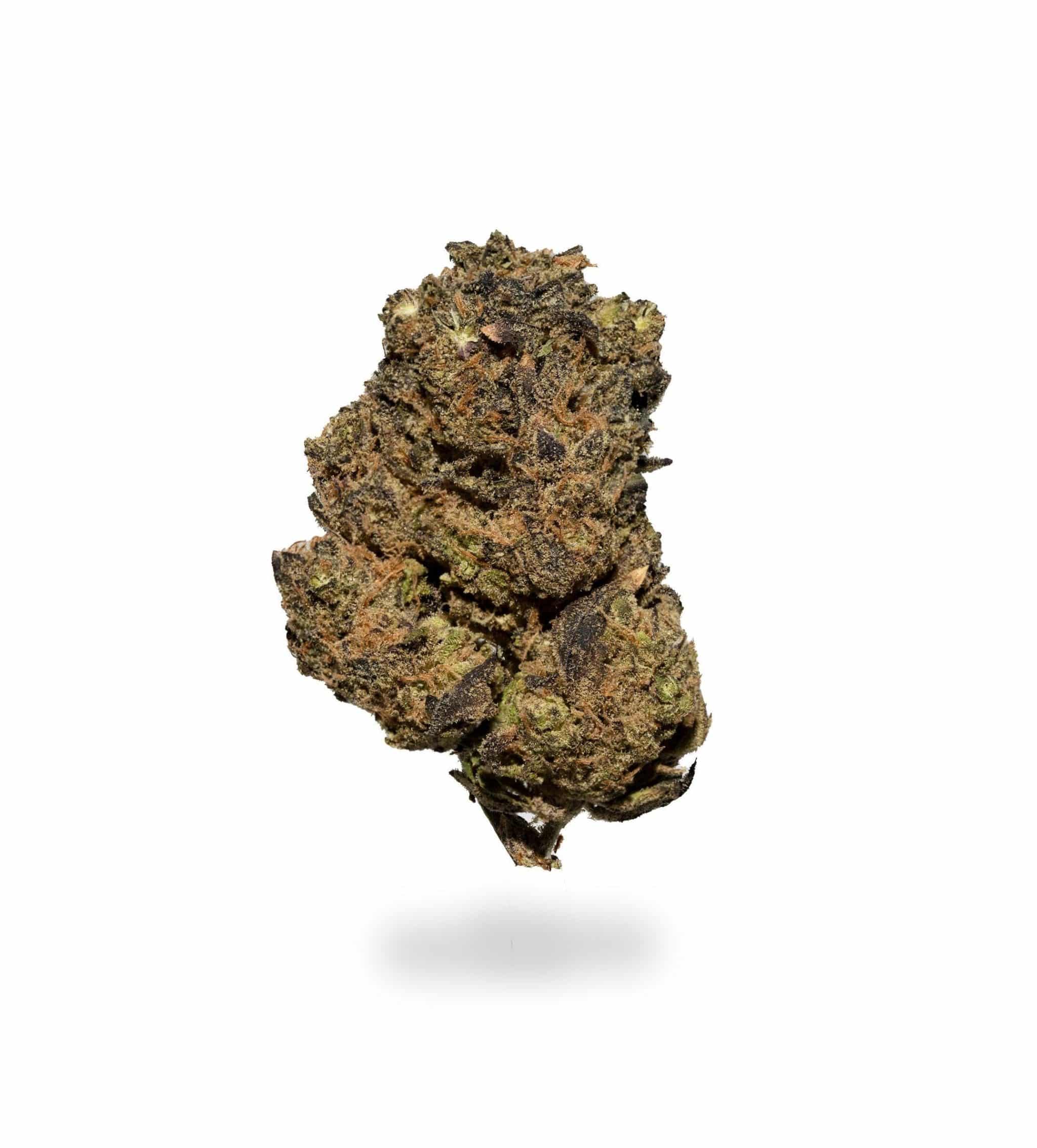 Gods Bubba (AA)
