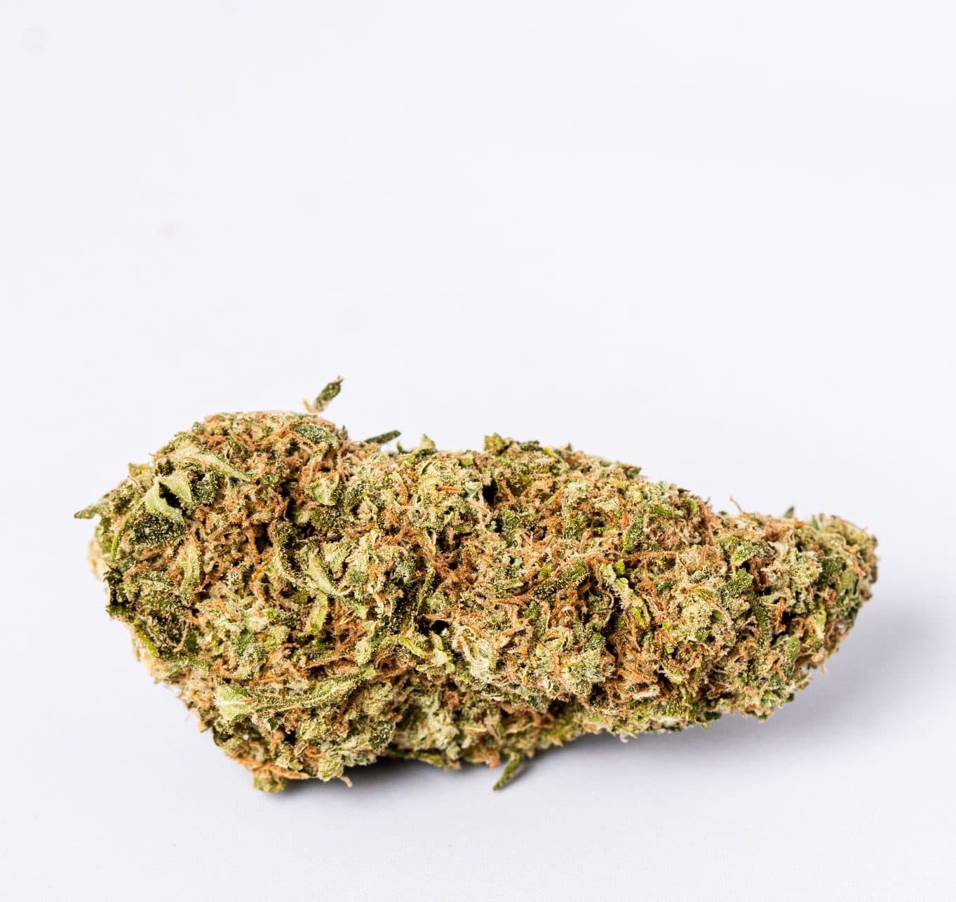 Gelato Dream (AAAA-)
