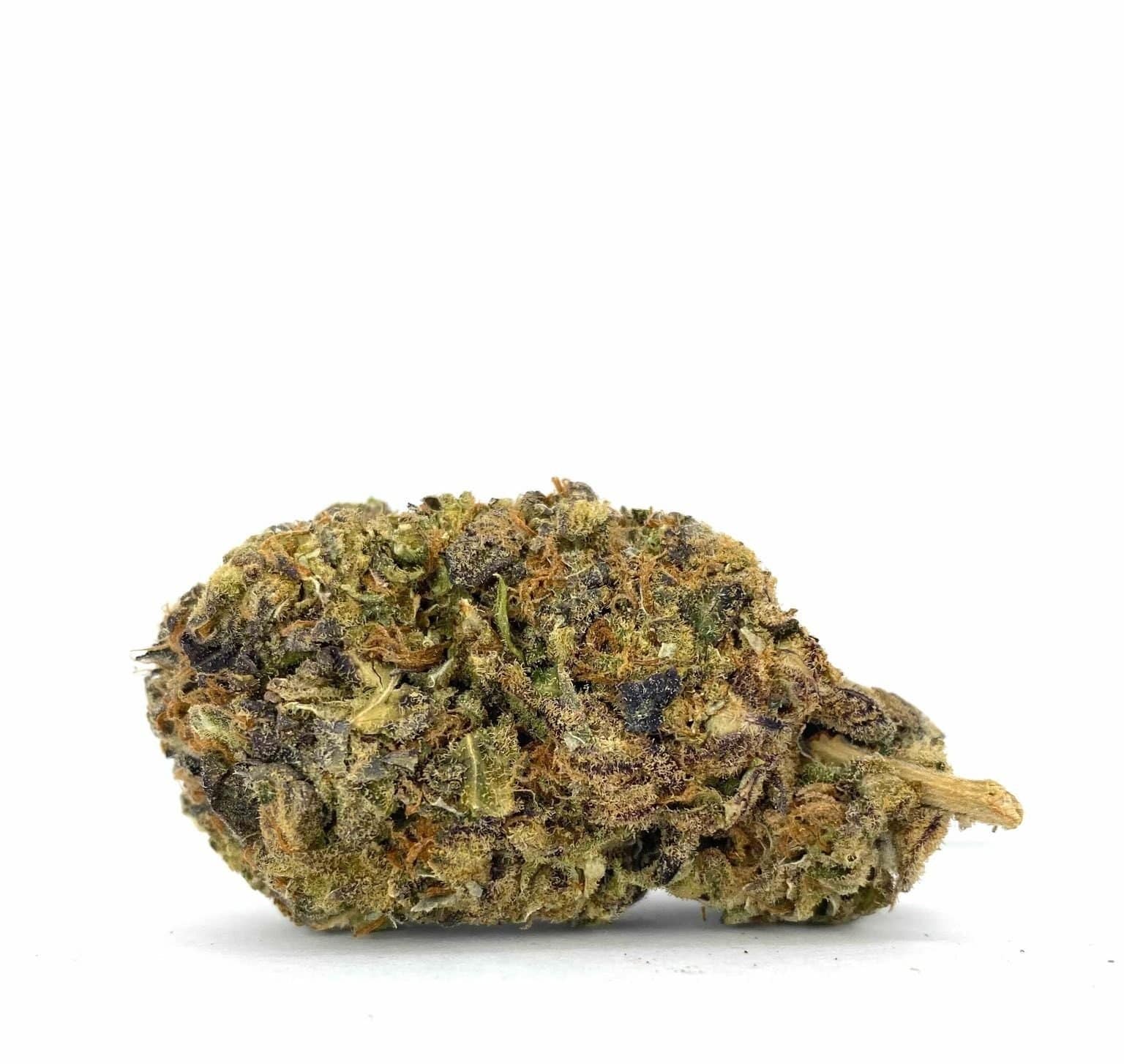 Purple Afghani (AAAA-)