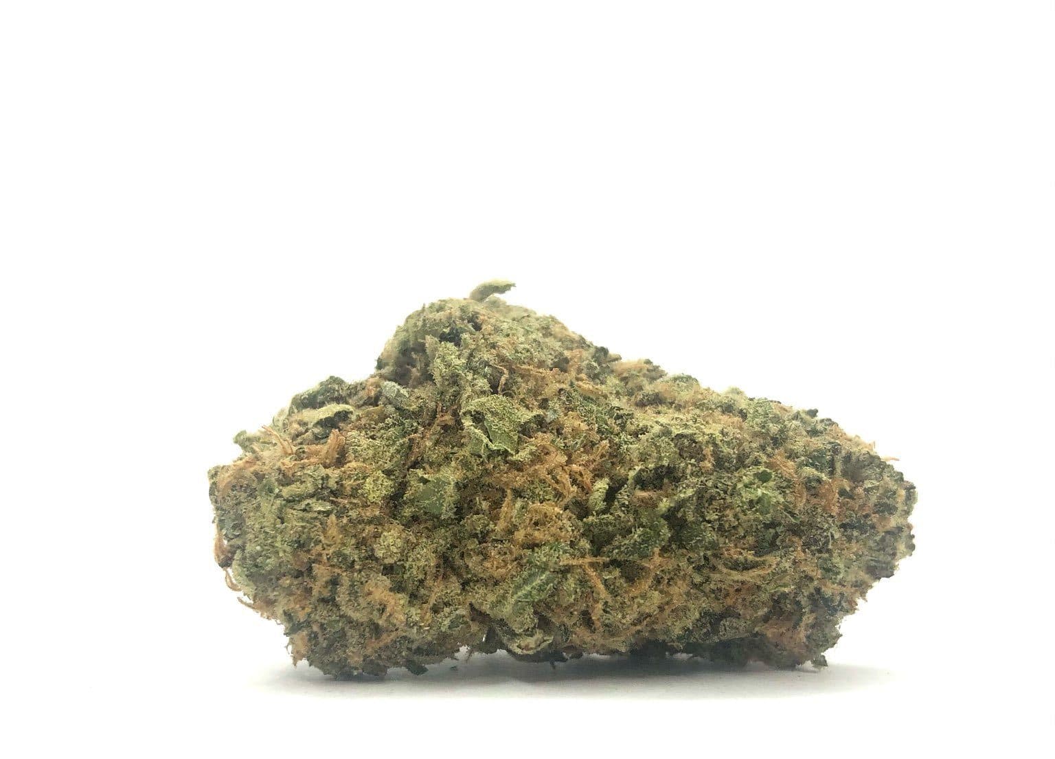 Gelato (AAAA)