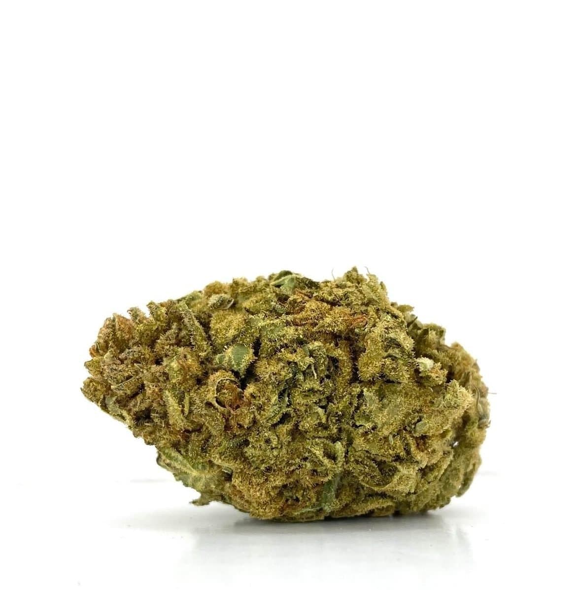 Monster Glue (AAA-)