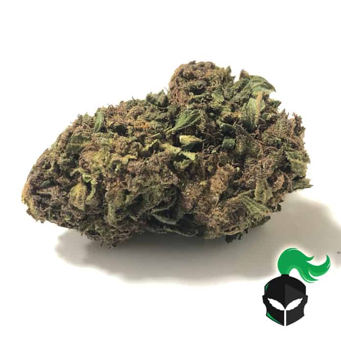 Widow Berry (AA)
