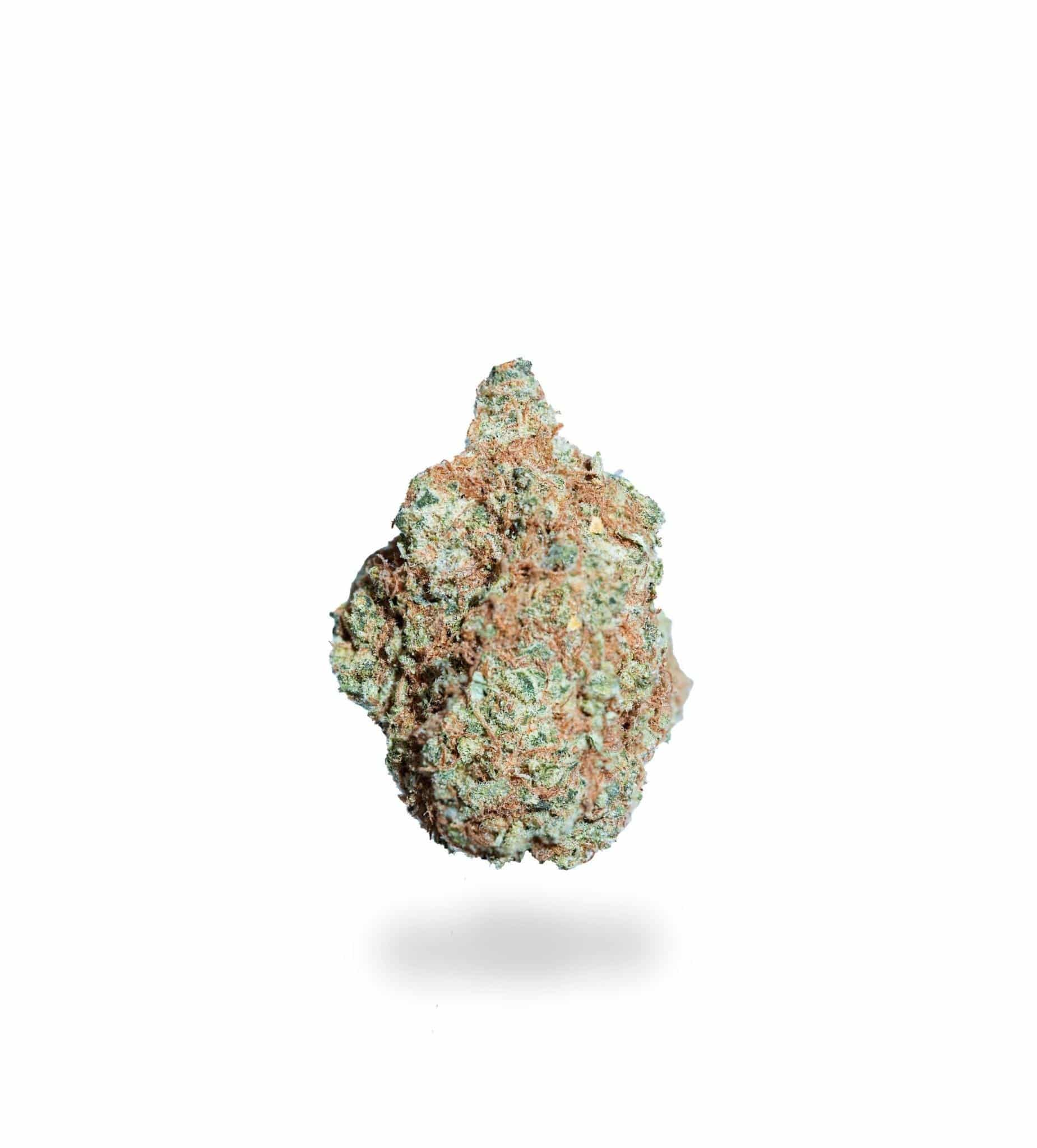 White Romulan (AAA-)