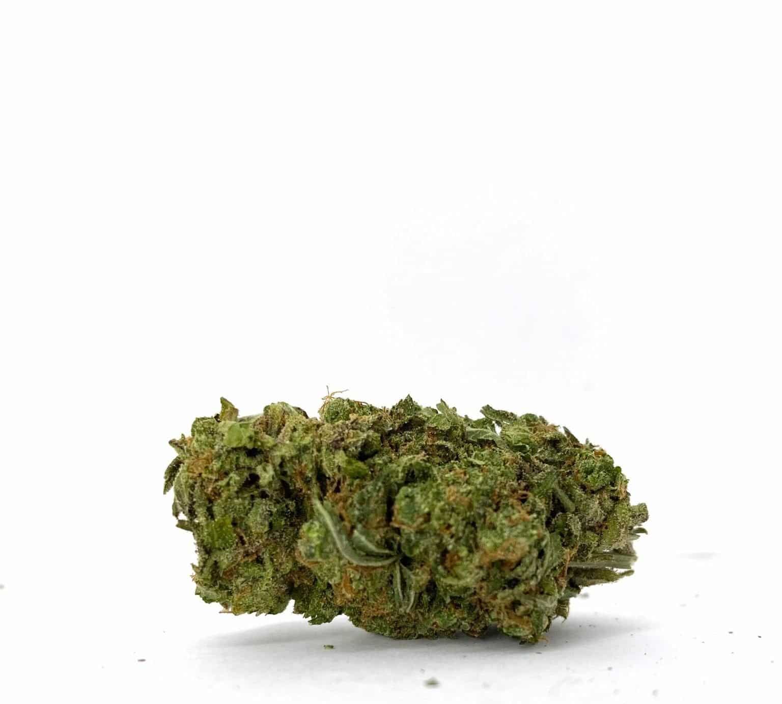 Lemon God (AA)