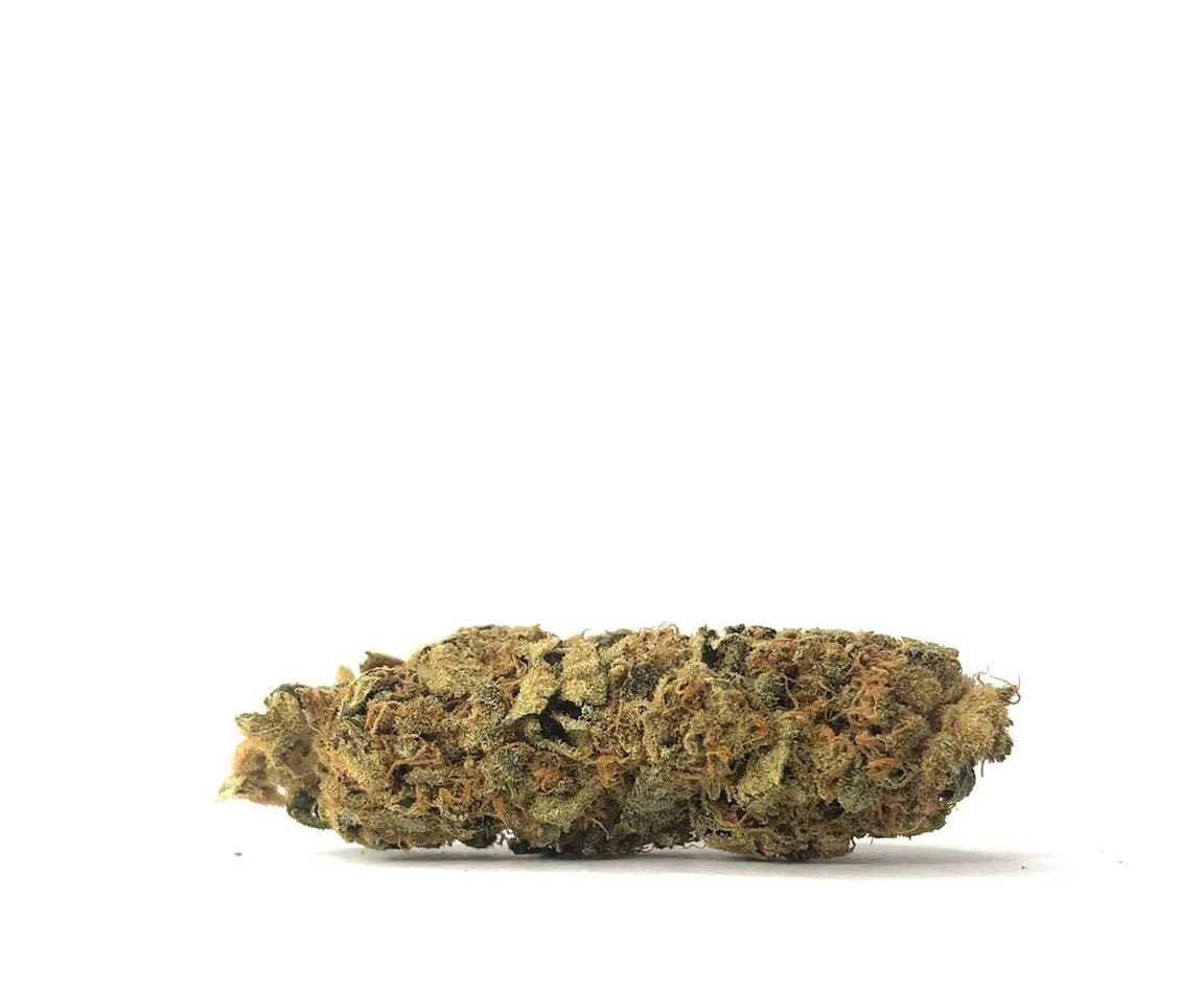 Snoops Dream (AA-)