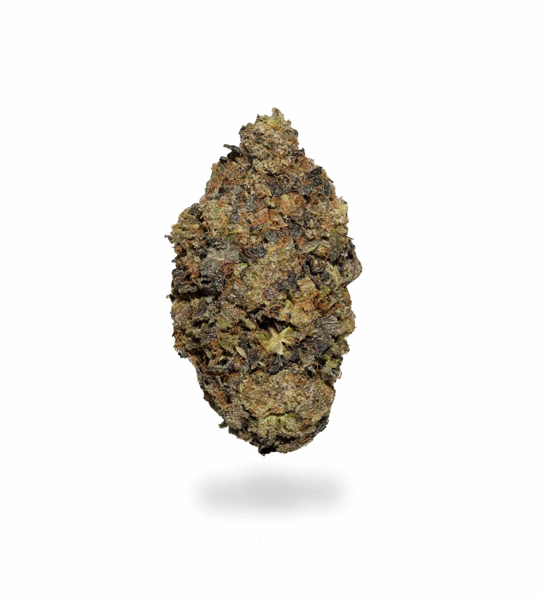 Gas Daddy (AAAA-)