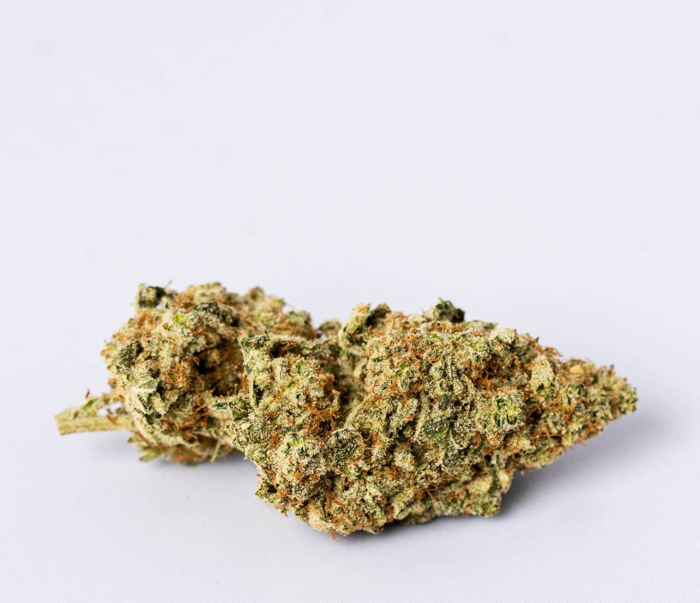 Zkittlez Glue (AAAA-)