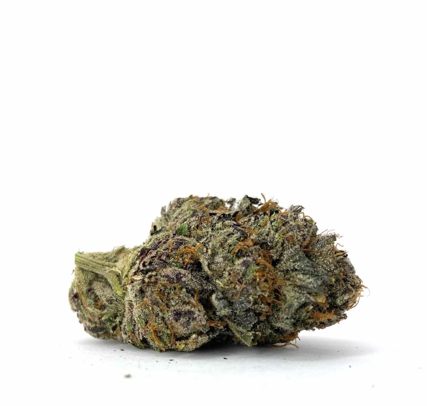 City of God (AAAA+)