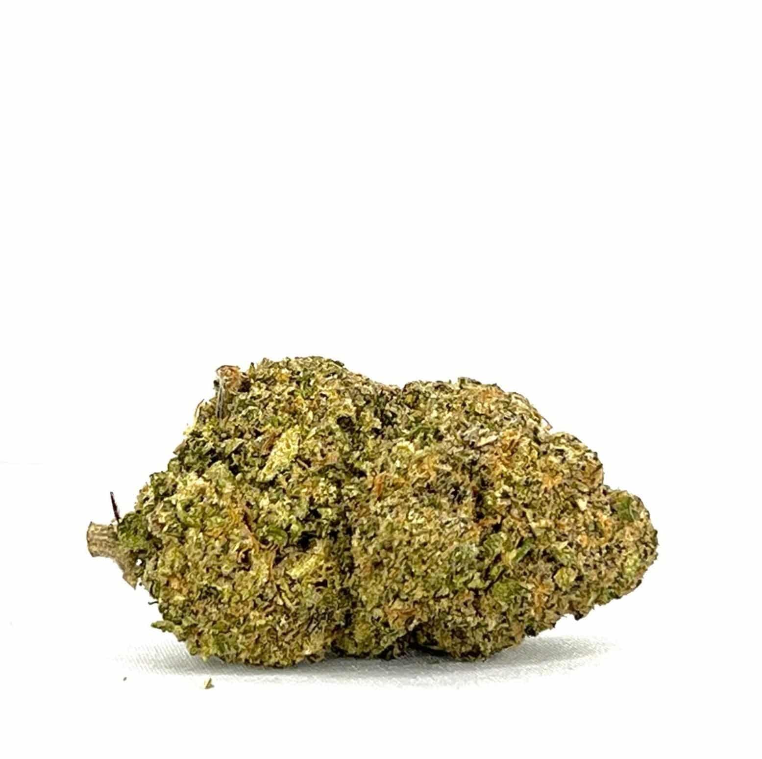 X-Dog (AAA+)