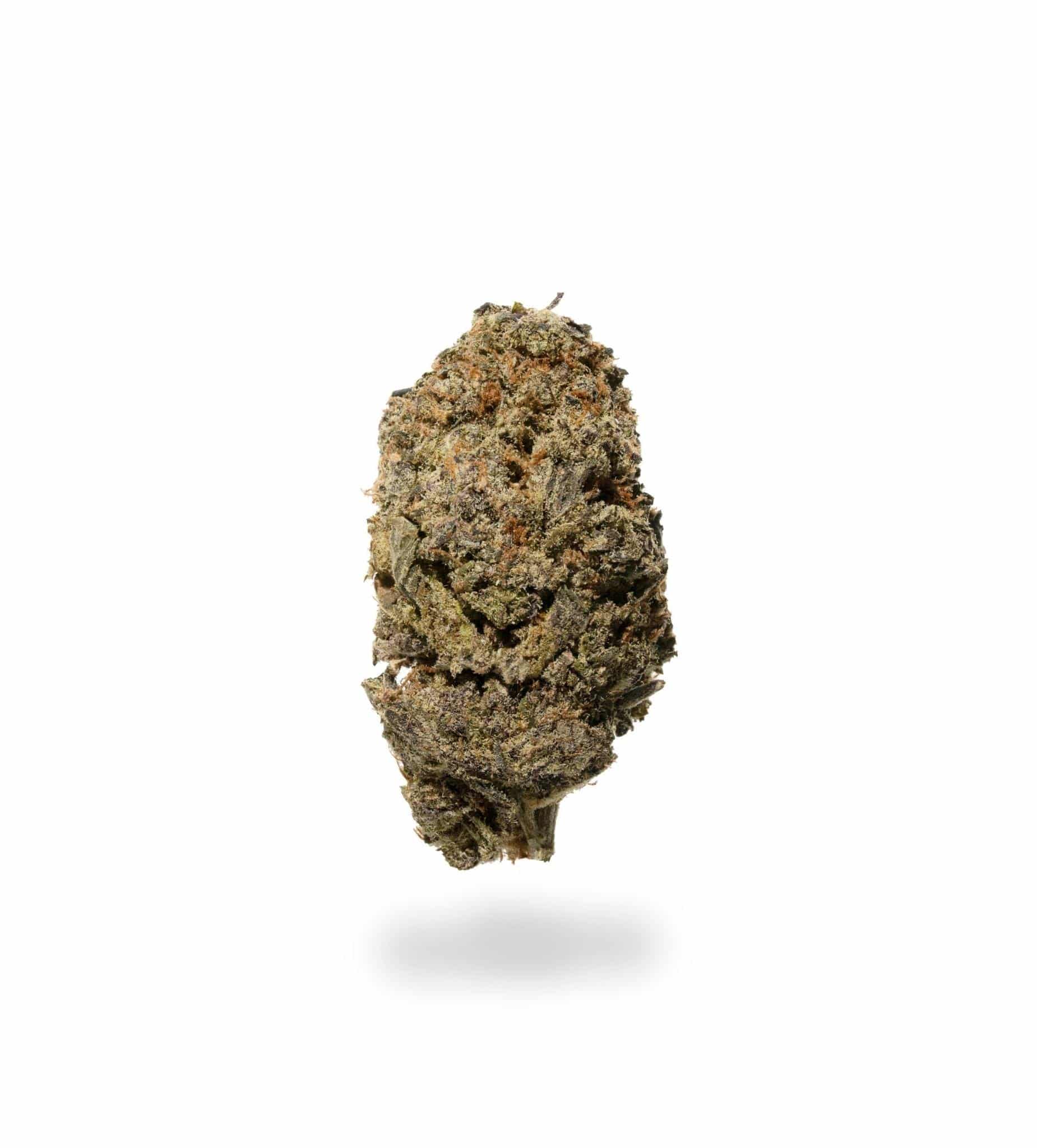 Gas Cake *GAS* (AAA+)
