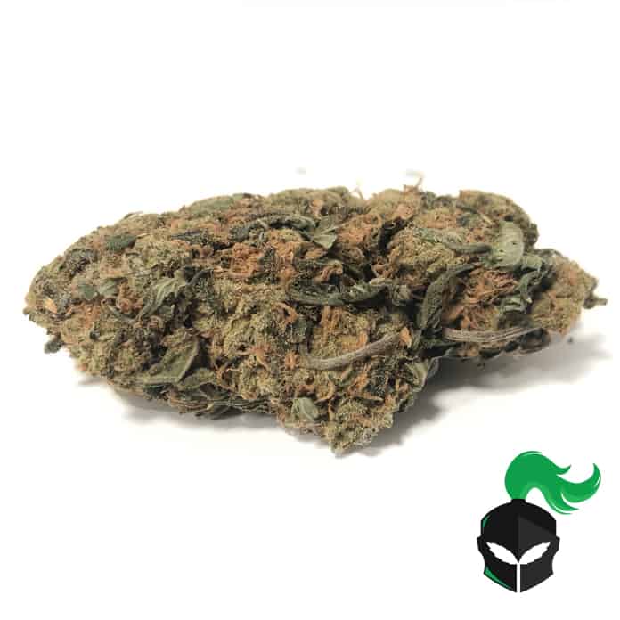 Melon Gum (AAA-)