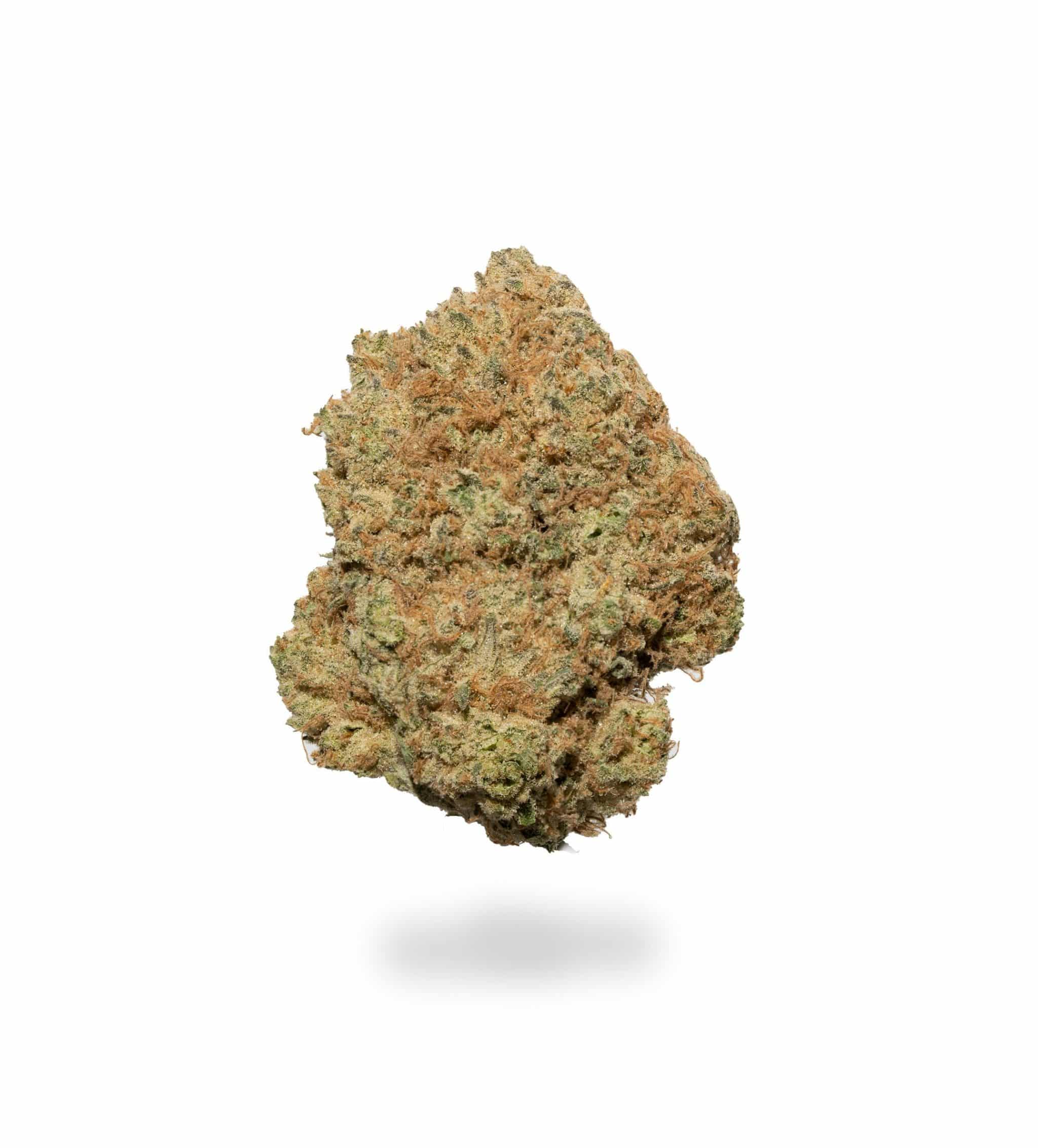 Sequoia Strawberry (AAAA-)