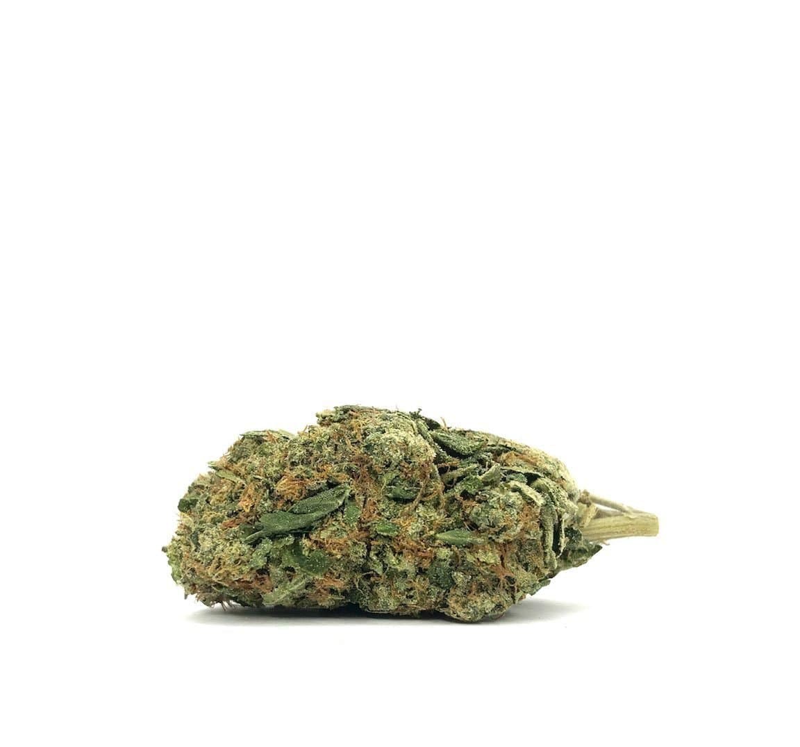 Lindsay Bubba (AAAA)