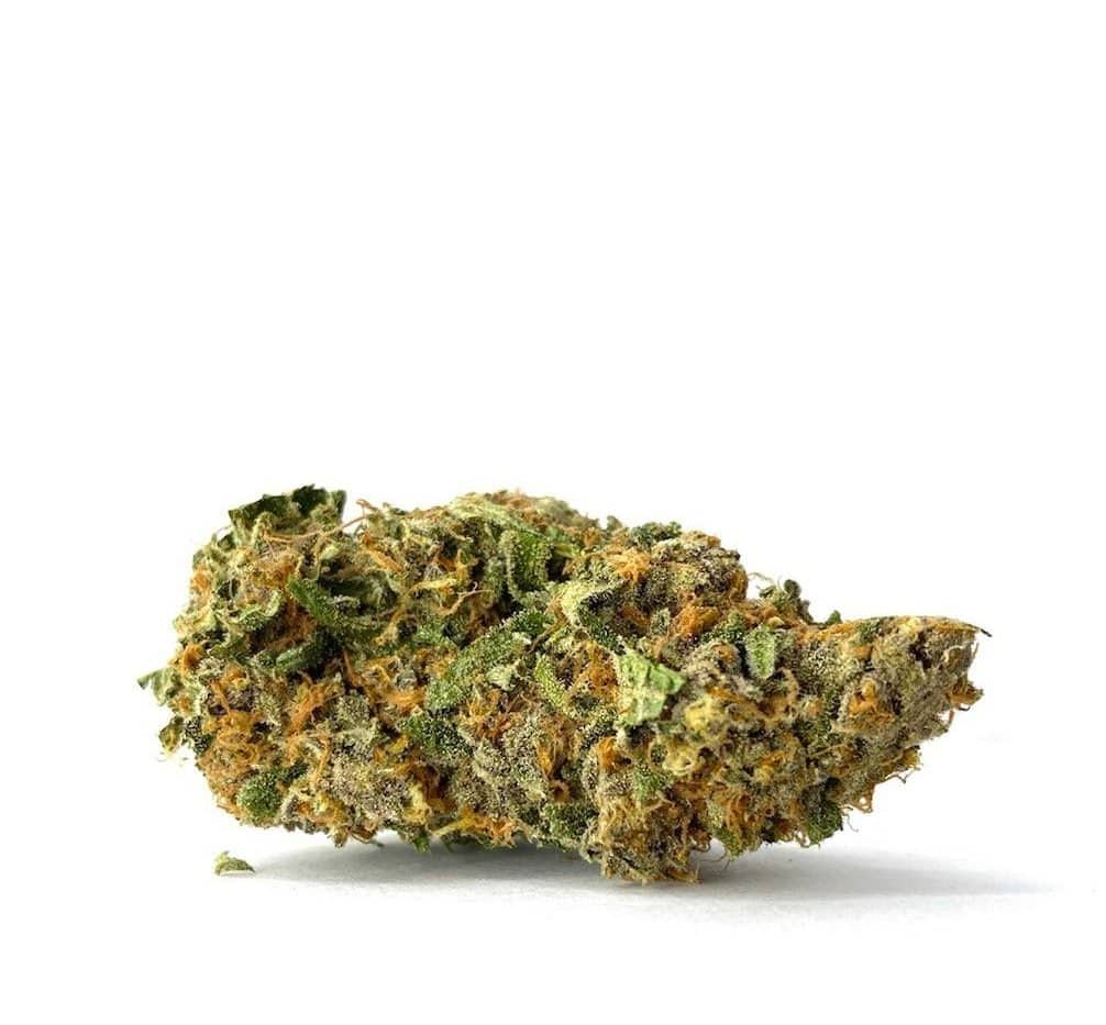 Purple Pug's Breath (AAAA)