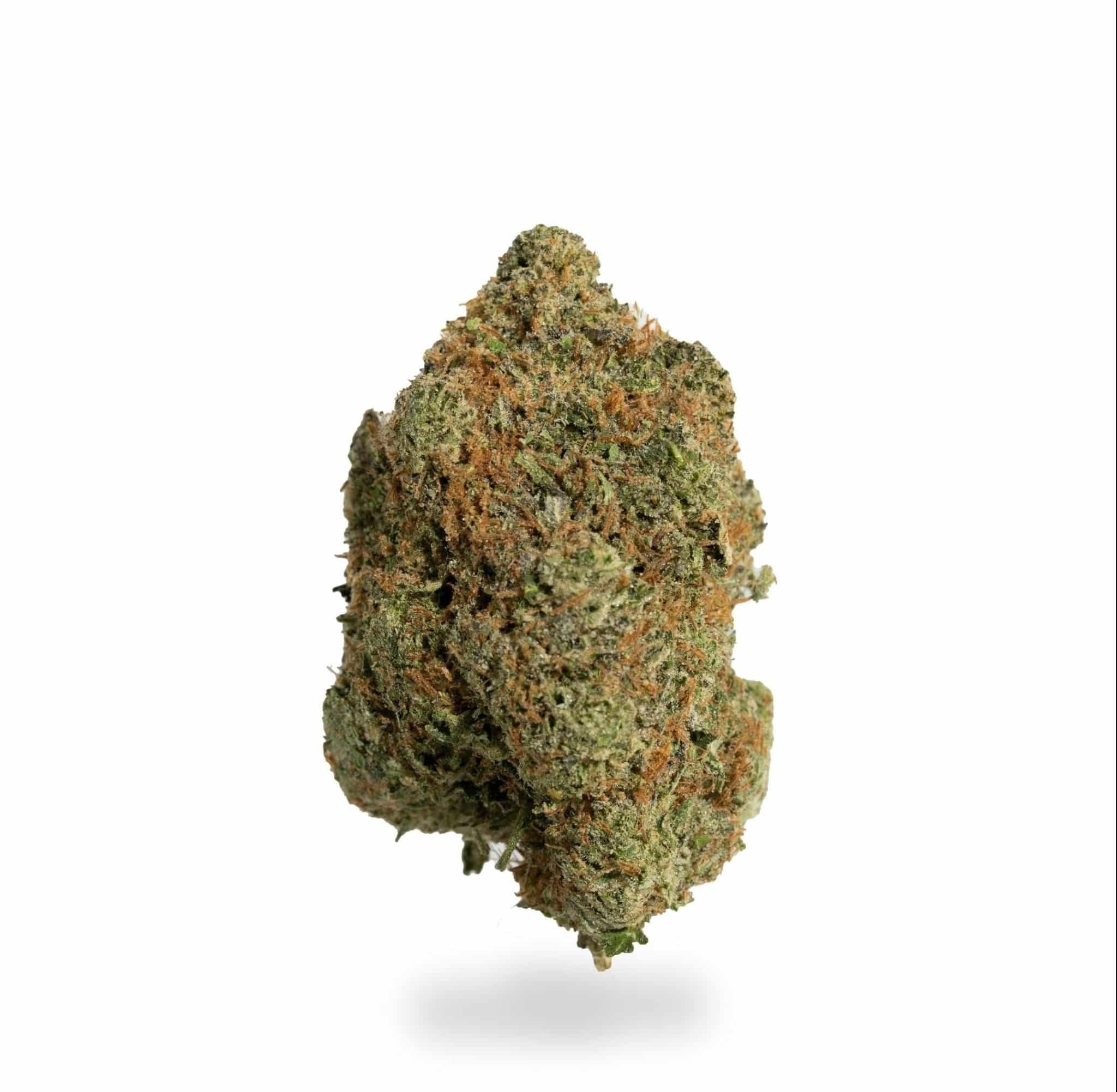 Gas Monkey (AAAA)